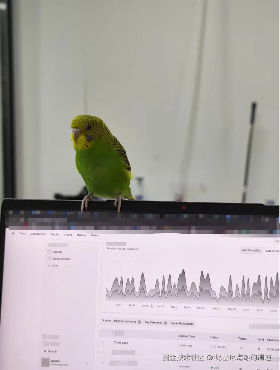 比基尼海滩的珊迪于2025-08-12 17:16发布的图片