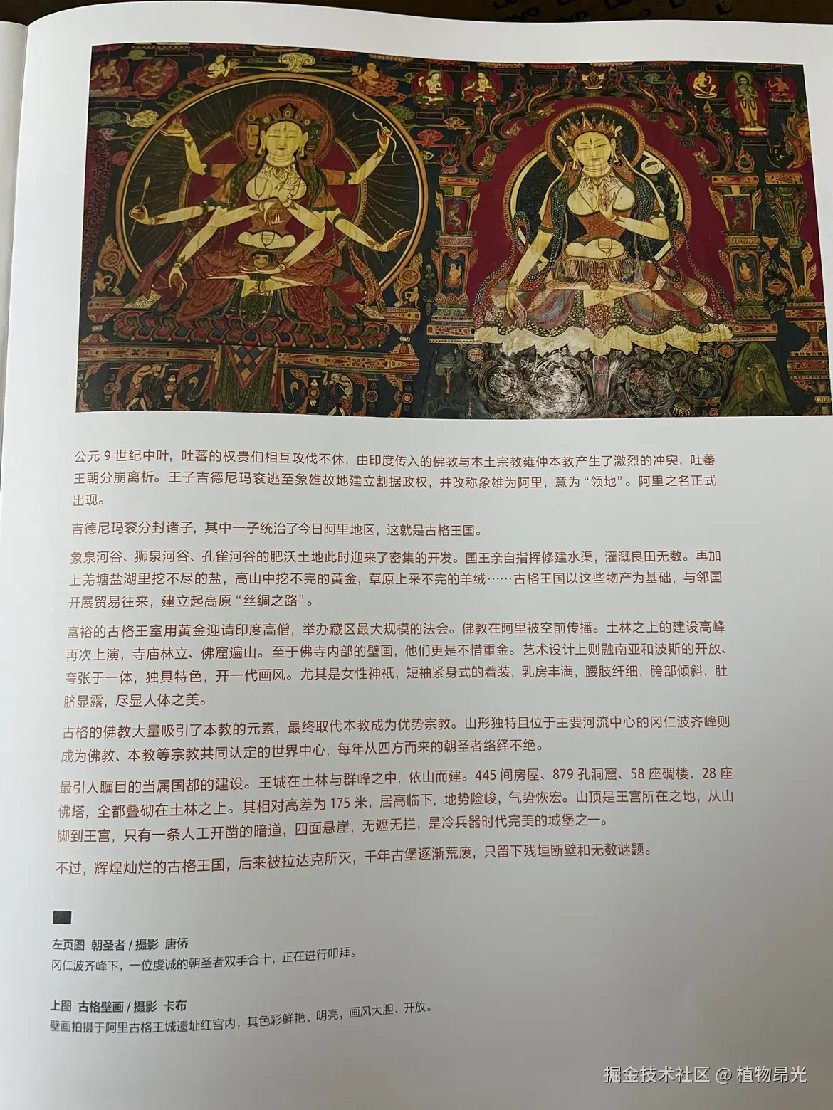 植物昂光于2026-03-02 19:38发布的图片