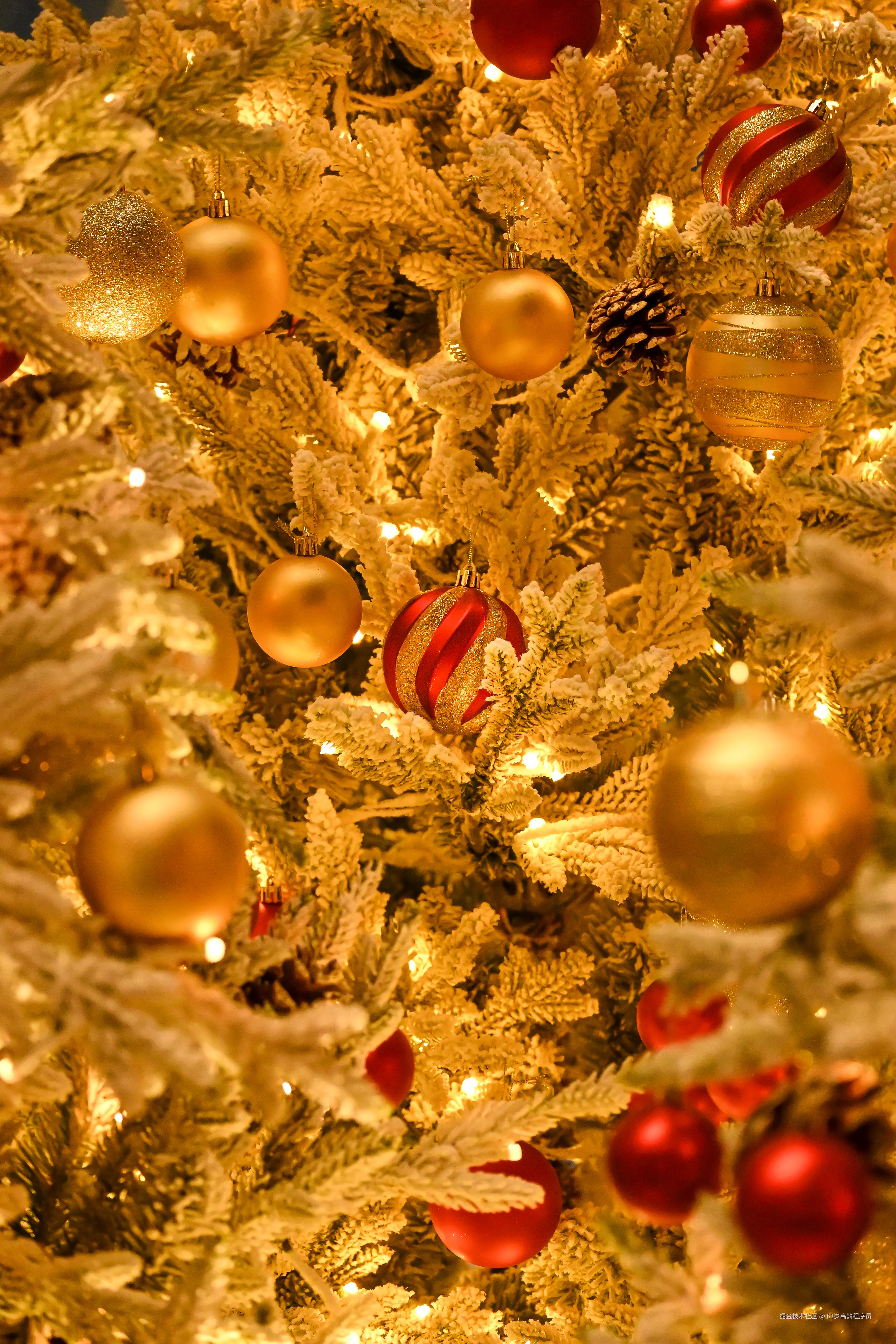 63岁高龄程序员于2025-12-19 01:26发布的图片