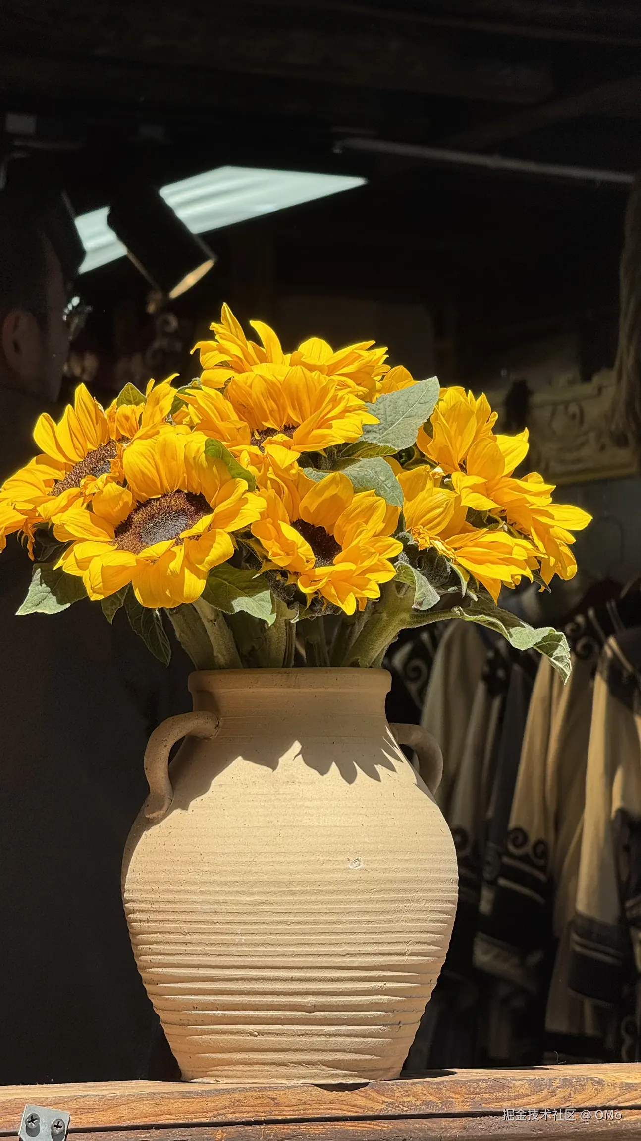 OMo于2026-04-16 11:42发布的图片