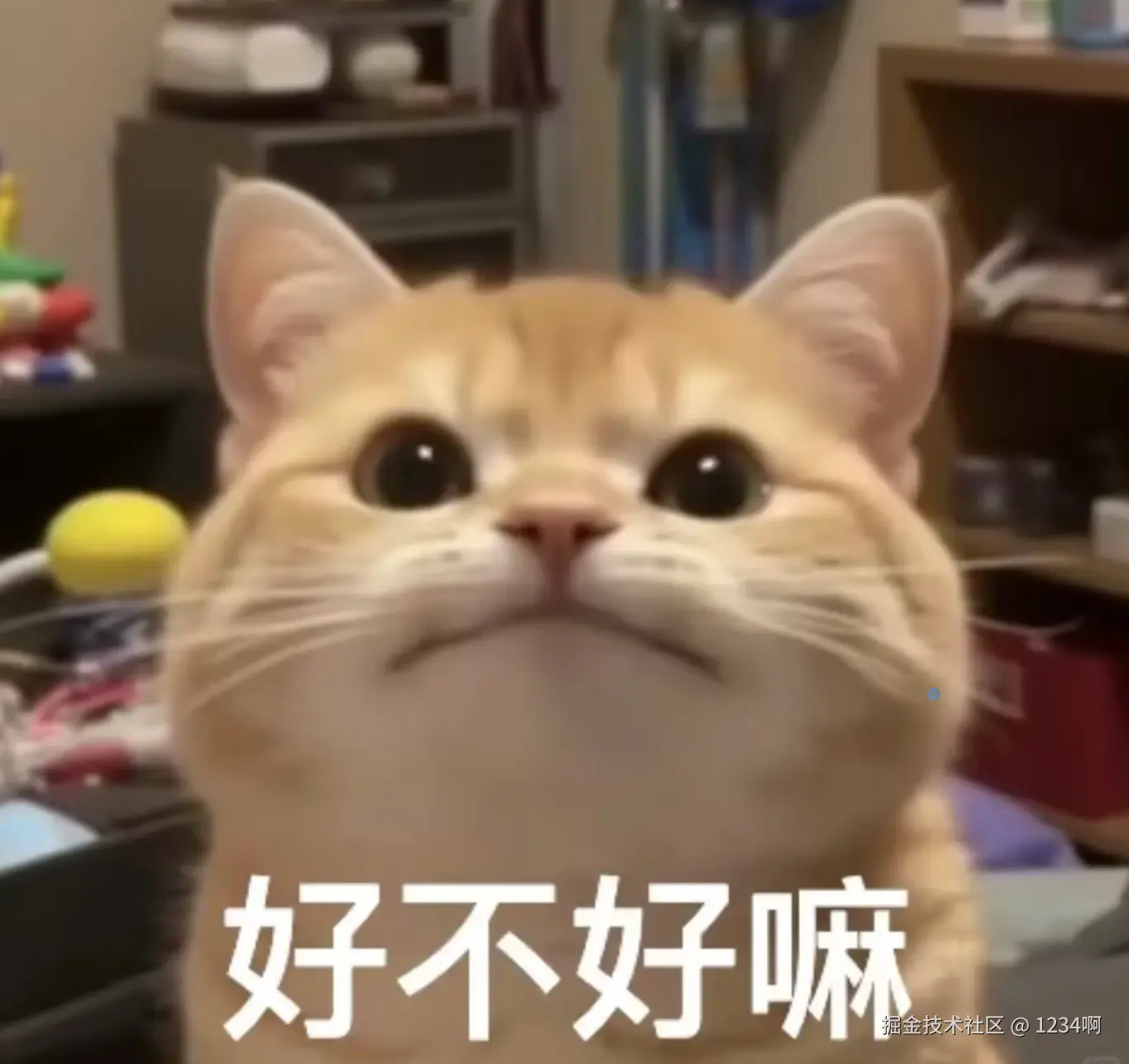 1234啊于2025-01-21 06:56发布的图片