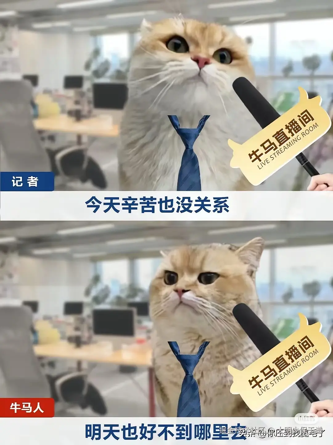 大明少保于谦于2025-04-27 09:32发布的图片
