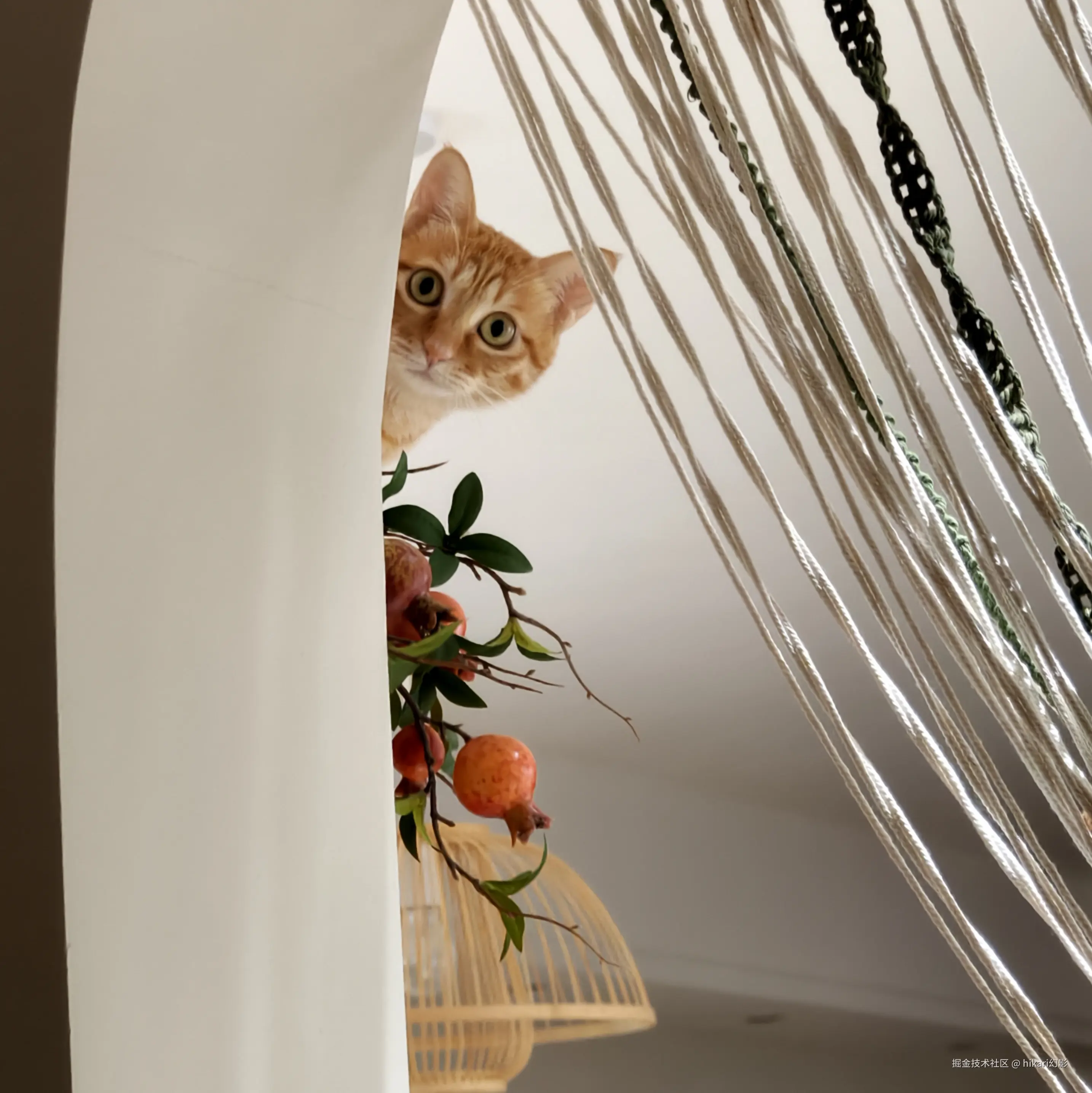 hikari幻影于2025-01-11 20:15发布的图片