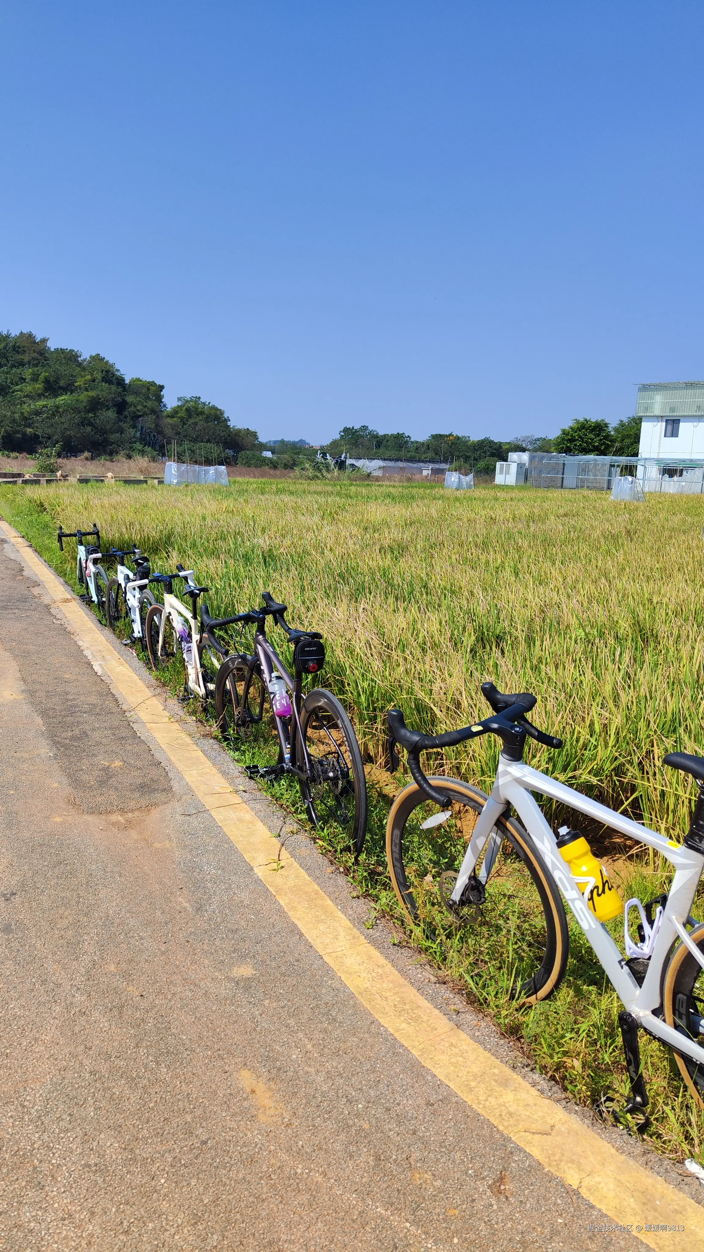 媛媛啊9813于2024-11-03 07:19发布的图片