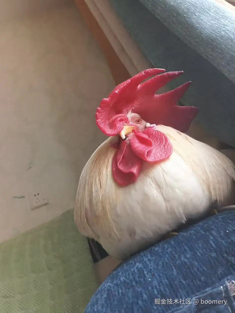 boomery于2026-04-03 16:15发布的图片