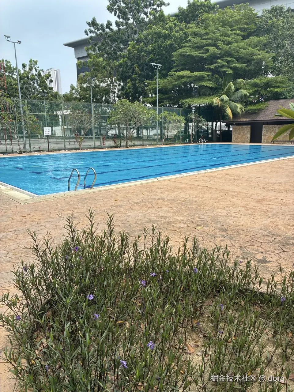 dora于2026-04-13 00:29发布的图片