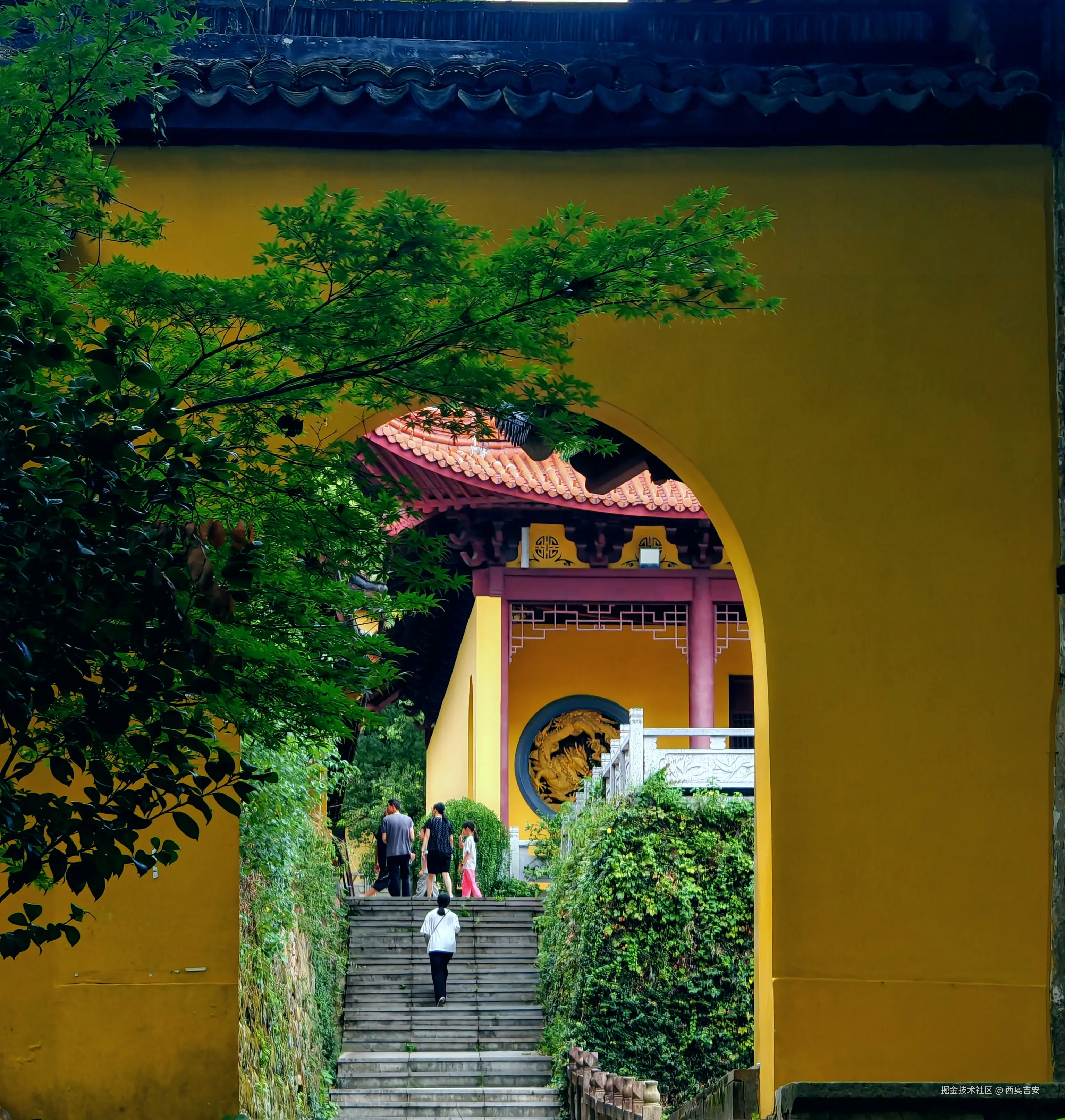 西奥吉安于2025-07-31 13:12发布的图片