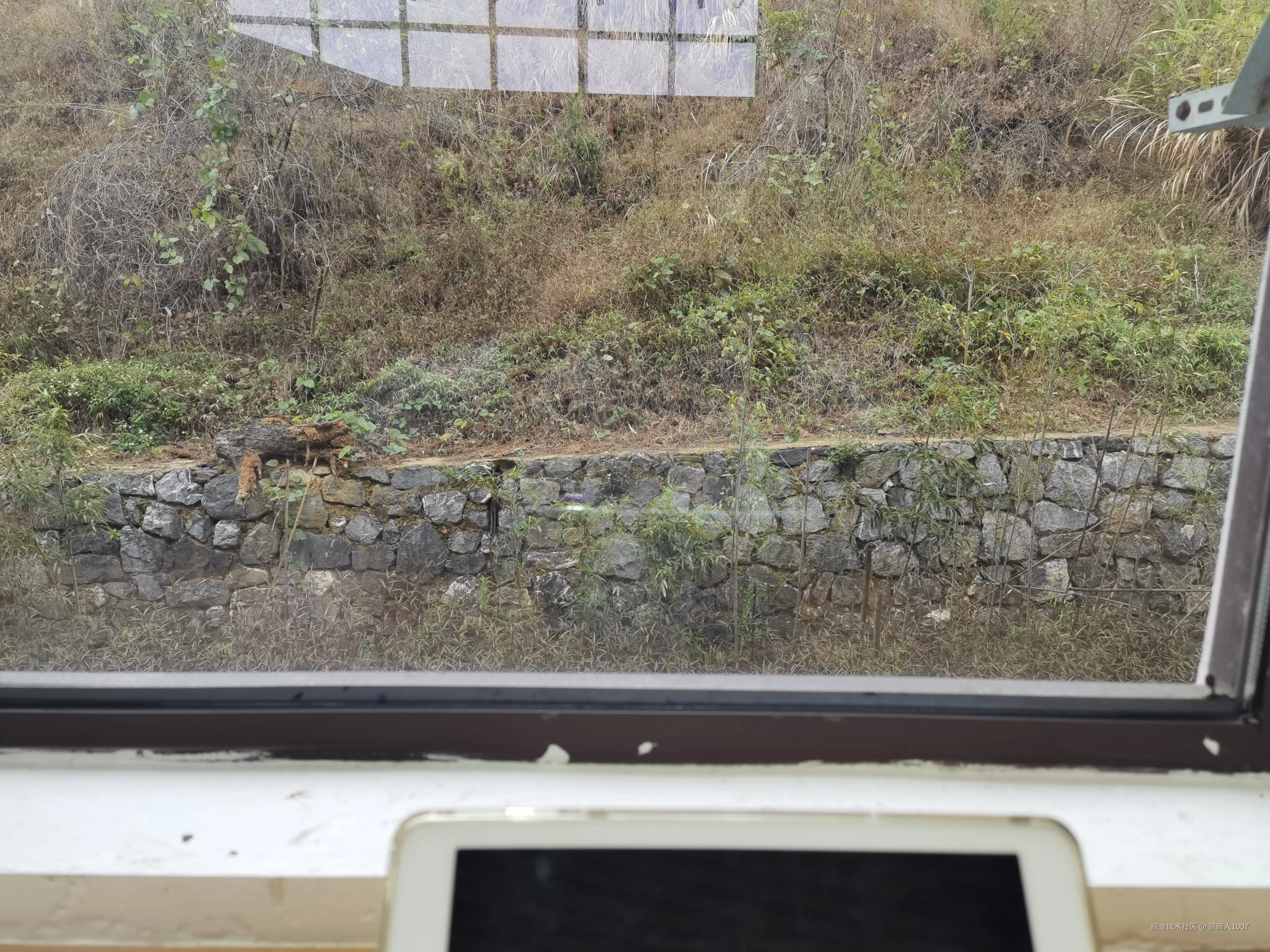 顶碗人1007于2026-03-10 12:25发布的图片