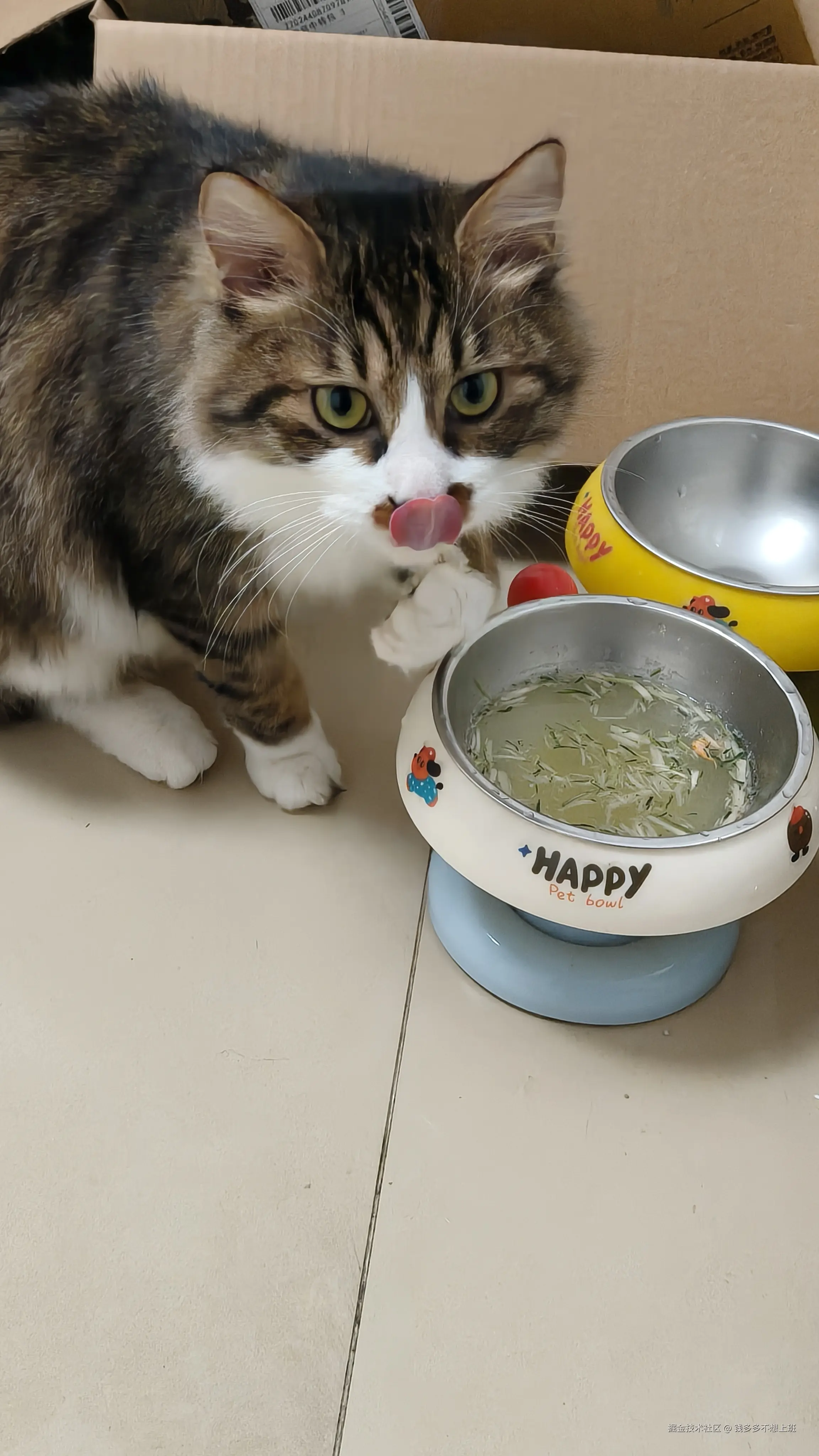 钱多多不想上班于2026-01-26 09:13发布的图片