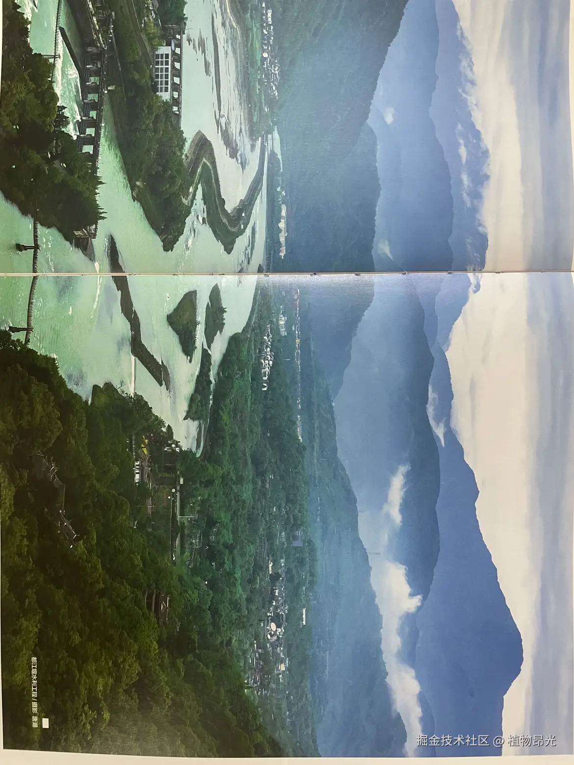 植物昂光于2026-04-04 17:22发布的图片