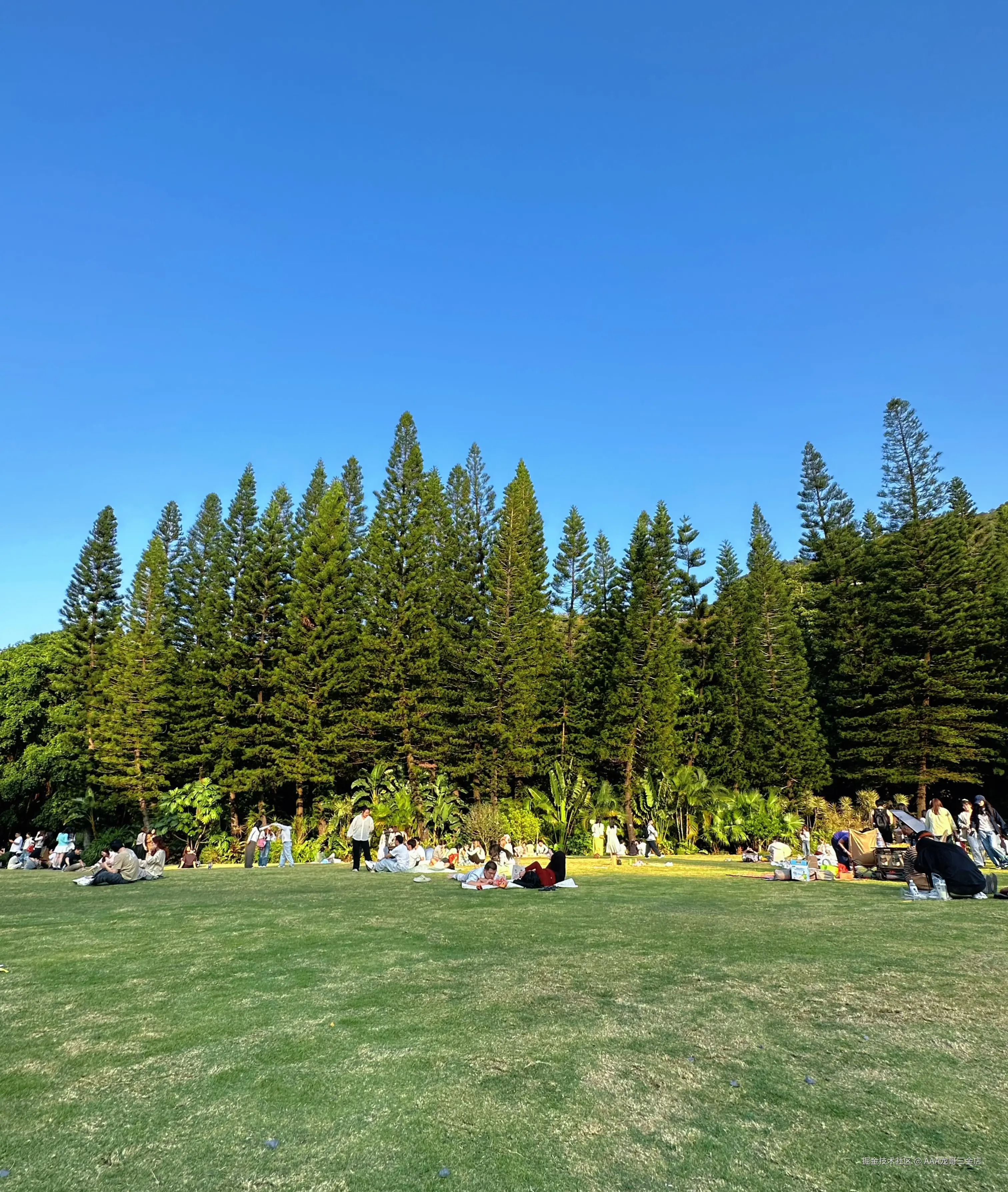 AAA龙哥三金店于2026-03-16 11:01发布的图片