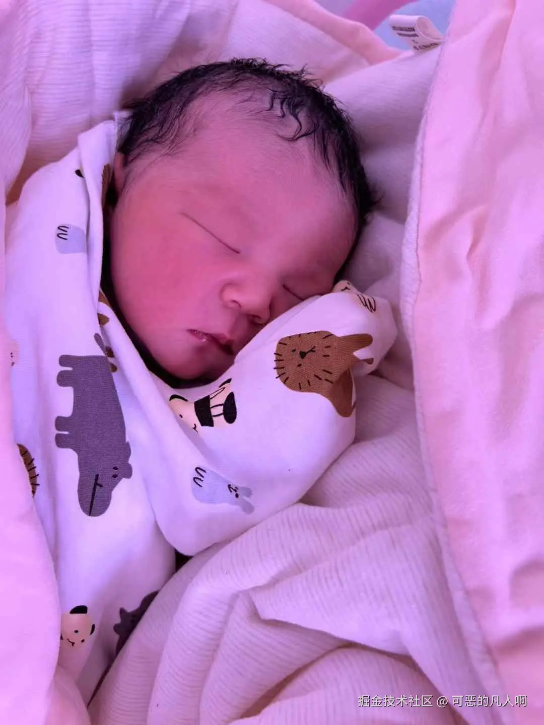 可恶的凡人啊于2025-01-08 15:27发布的图片