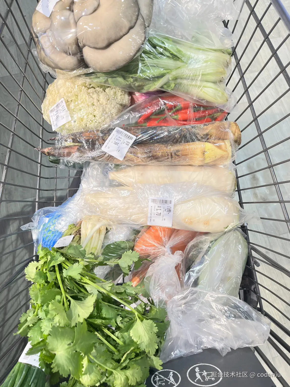 codeniu于2026-03-29 12:44发布的图片