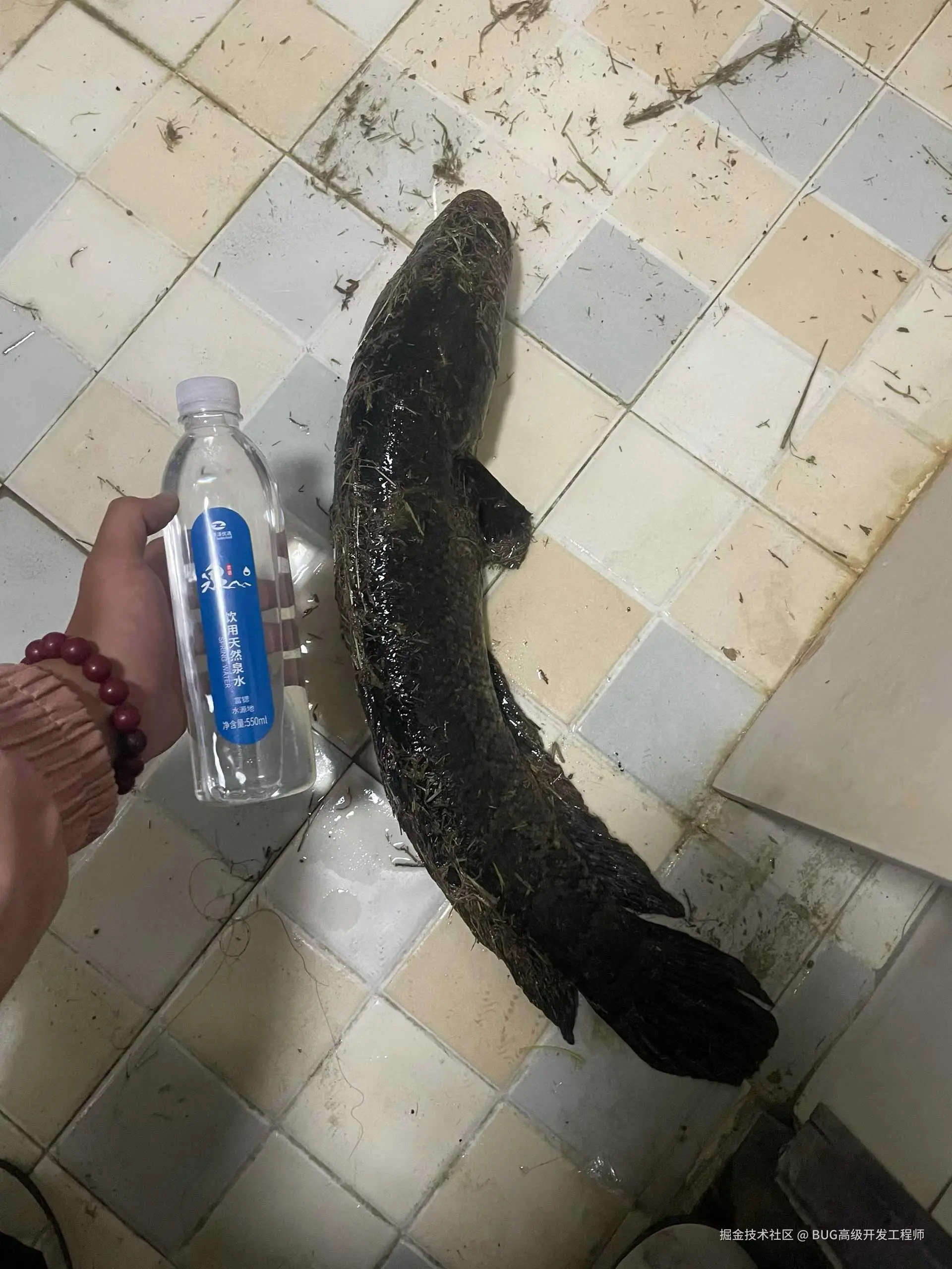 BUG高级开发工程师于2025-11-03 09:23发布的图片