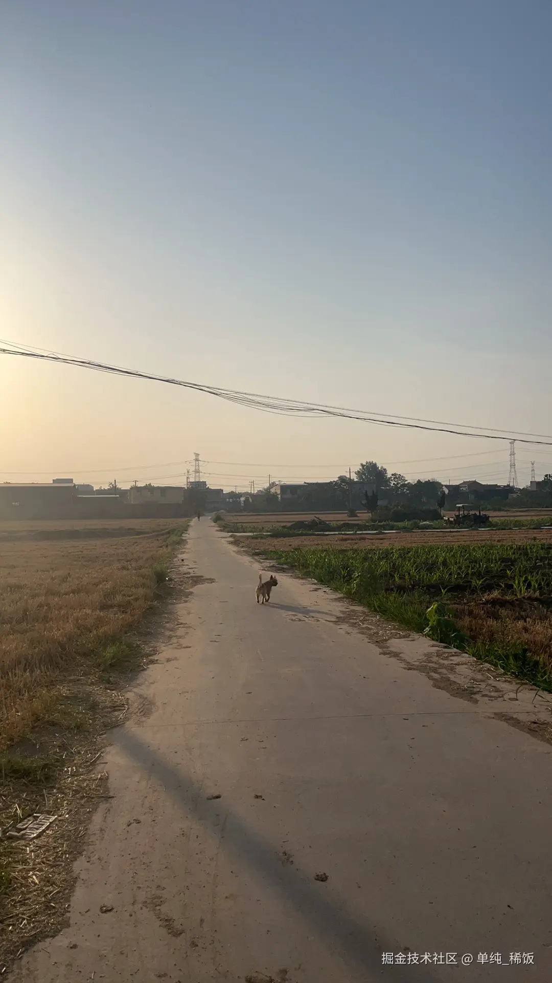 单纯_稀饭于2025-06-11 06:38发布的图片