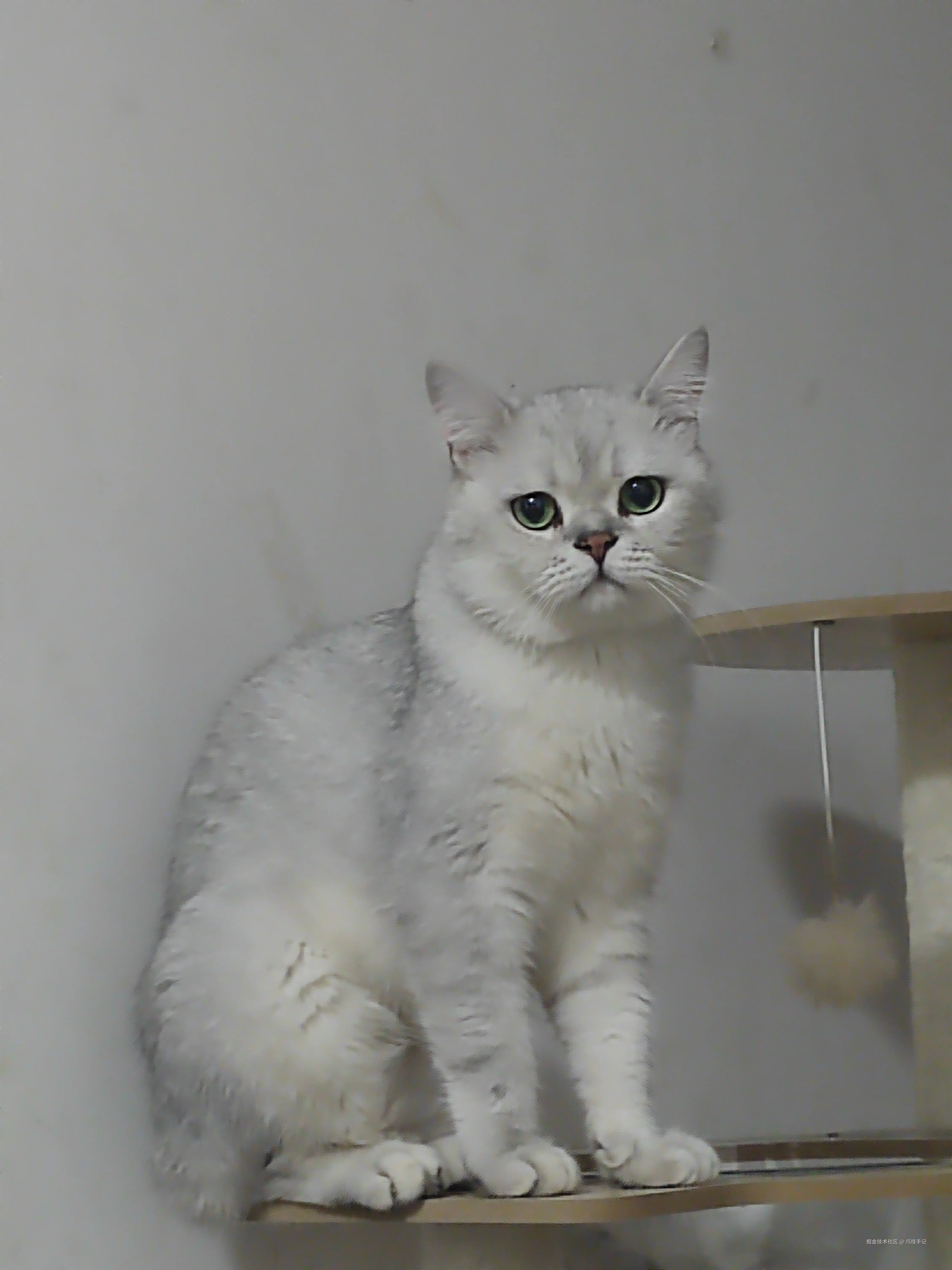 爪哇手记于2024-09-23 10:29发布的图片