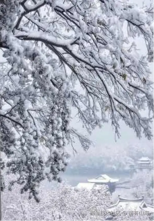 南有山海于2025-12-12 16:50发布的图片