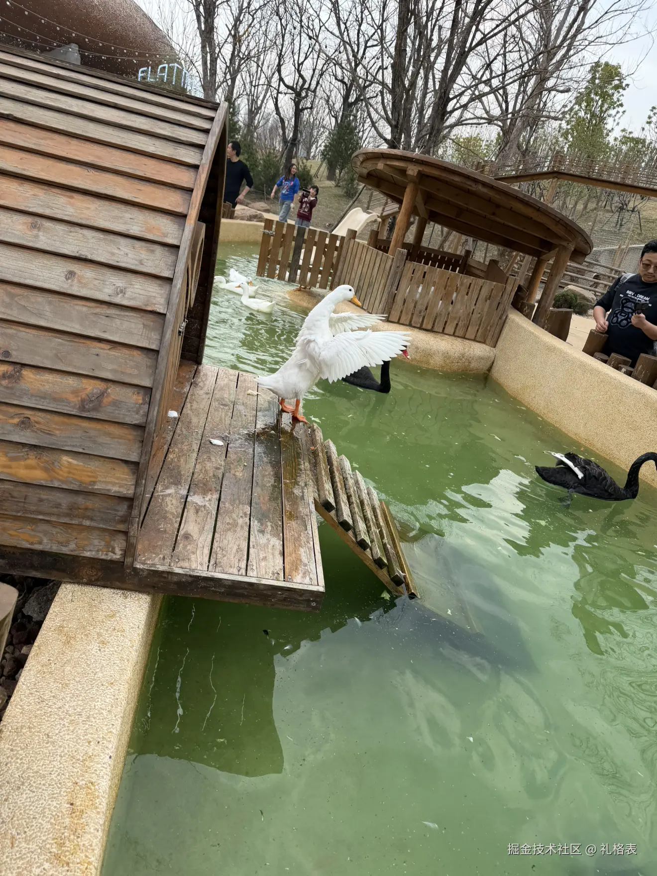 礼格表于2026-03-16 11:28发布的图片