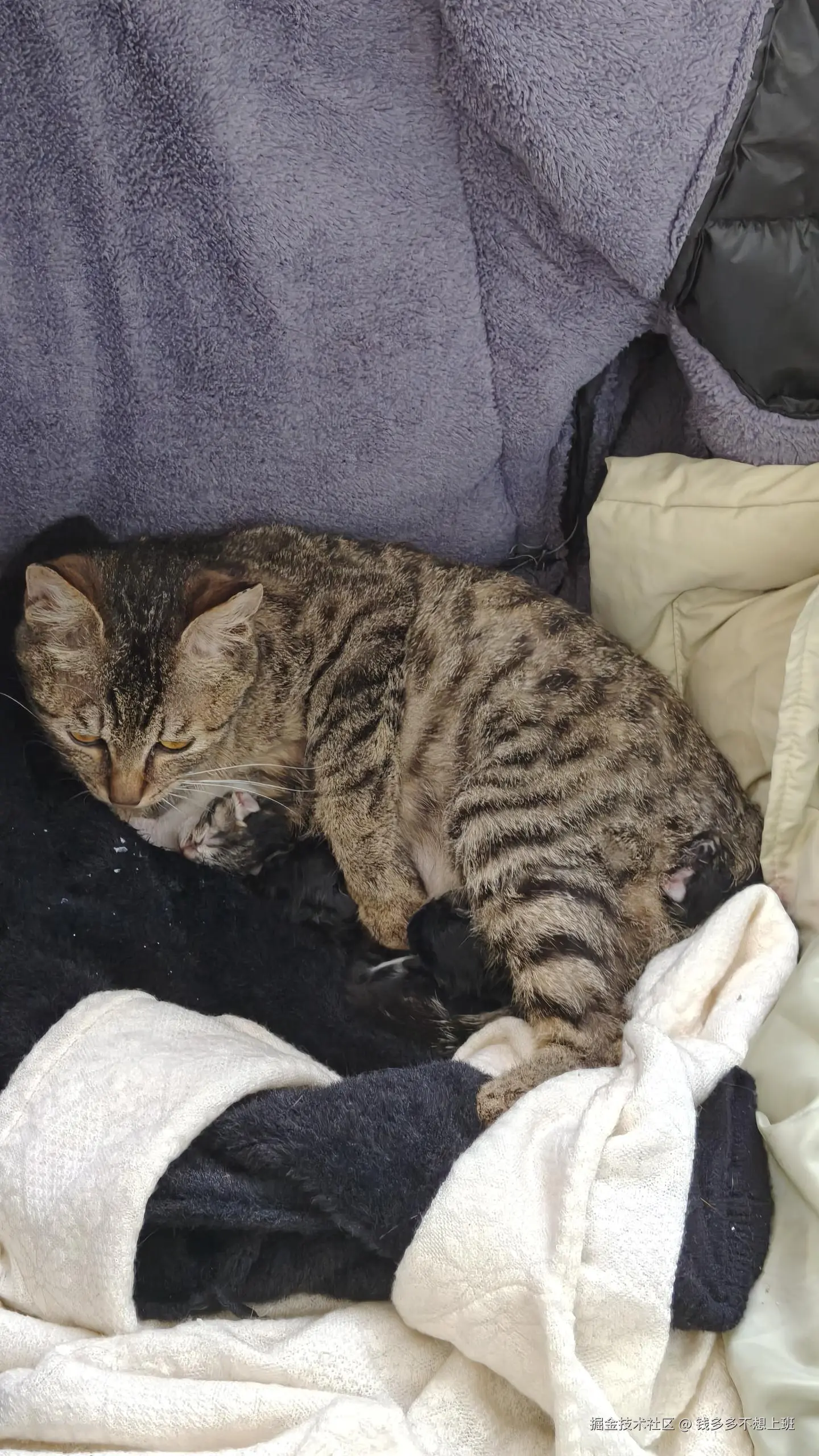 钱多多不想上班于2025-05-08 14:51发布的图片