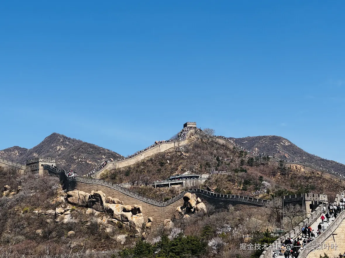 一朵烂菜叶叶于2026-04-13 11:05发布的图片