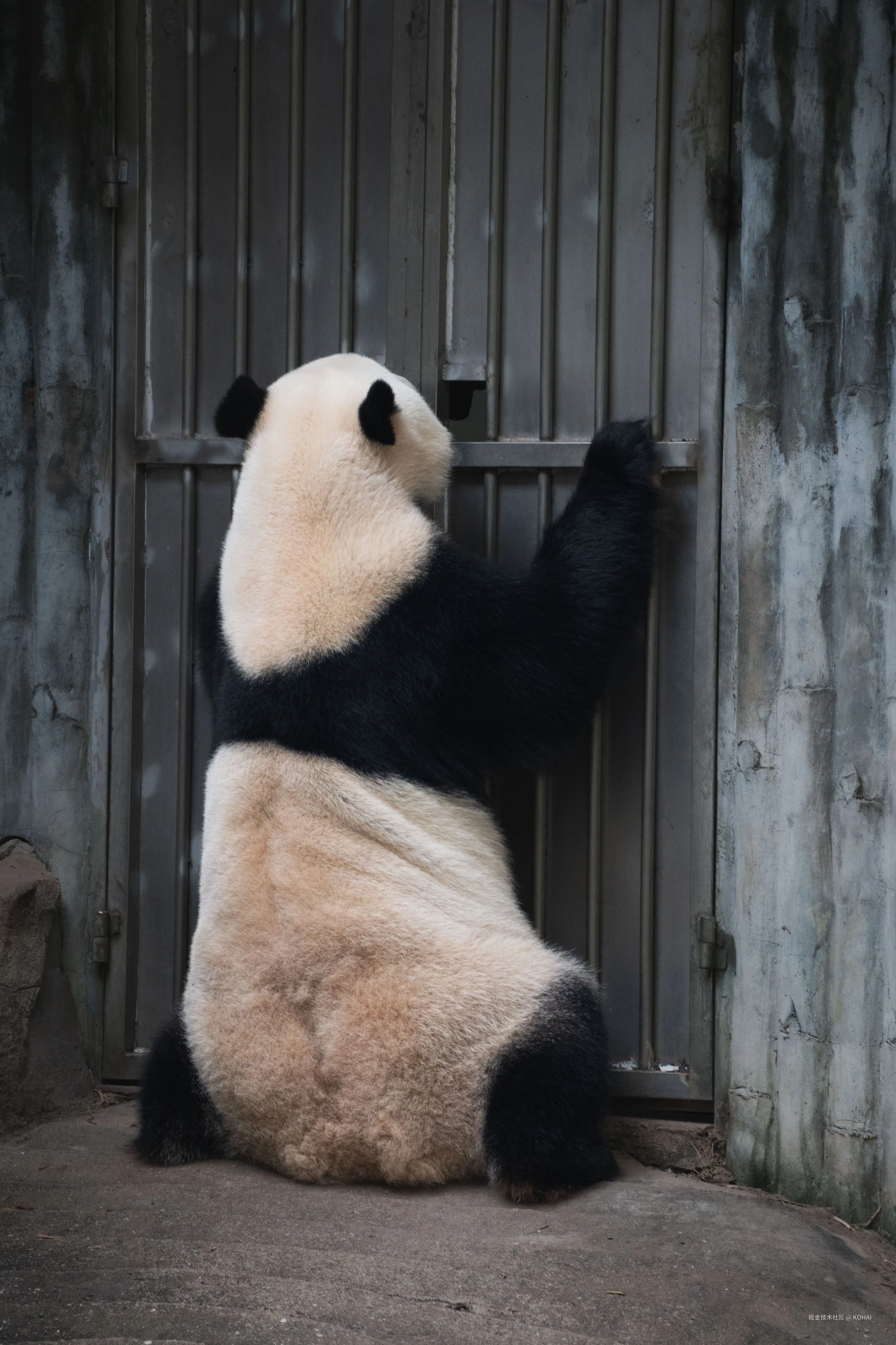 KOHAI于2024-11-04 23:36发布的图片