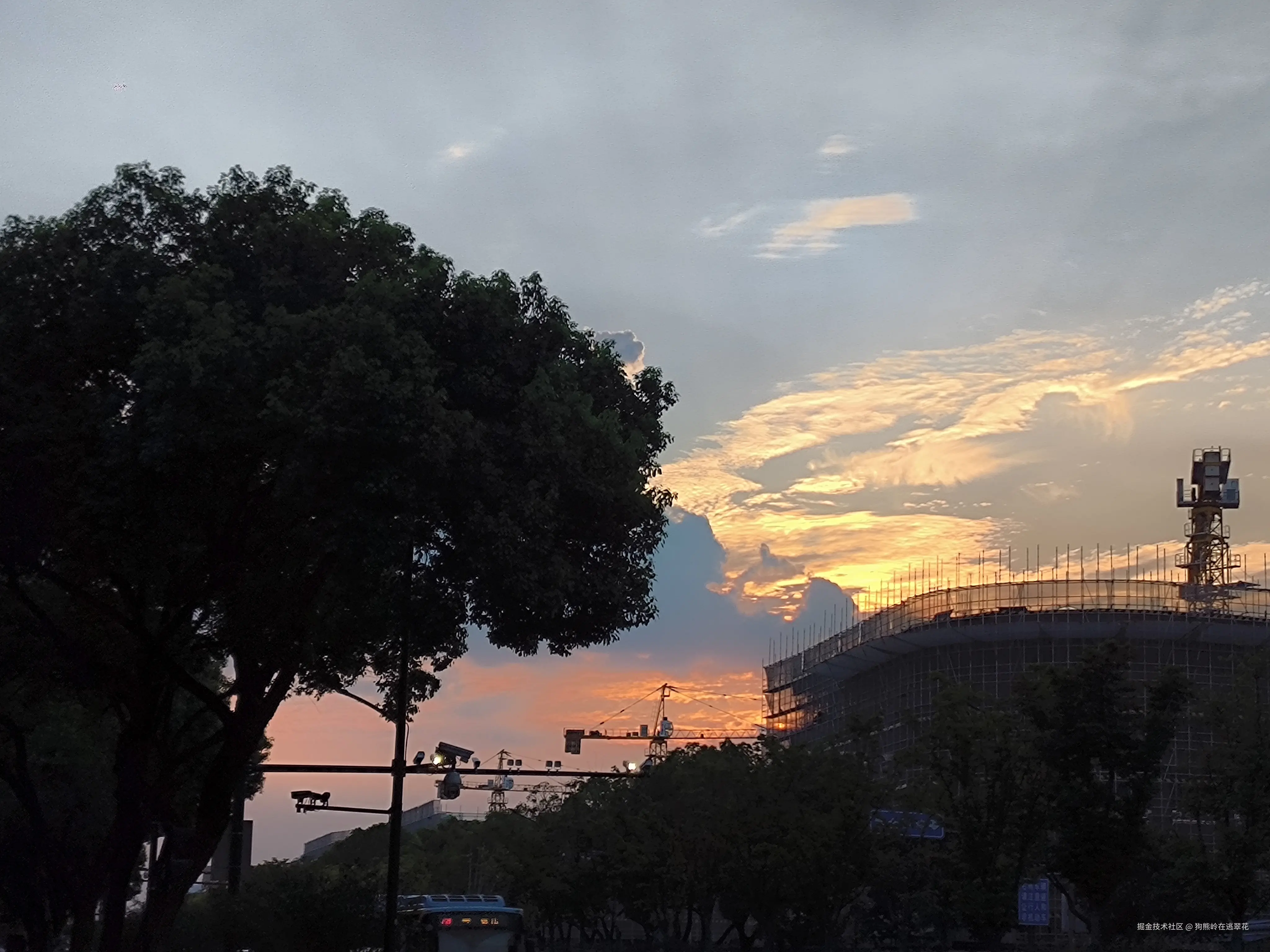 狗熊岭在逃翠花于2024-08-08 07:56发布的图片