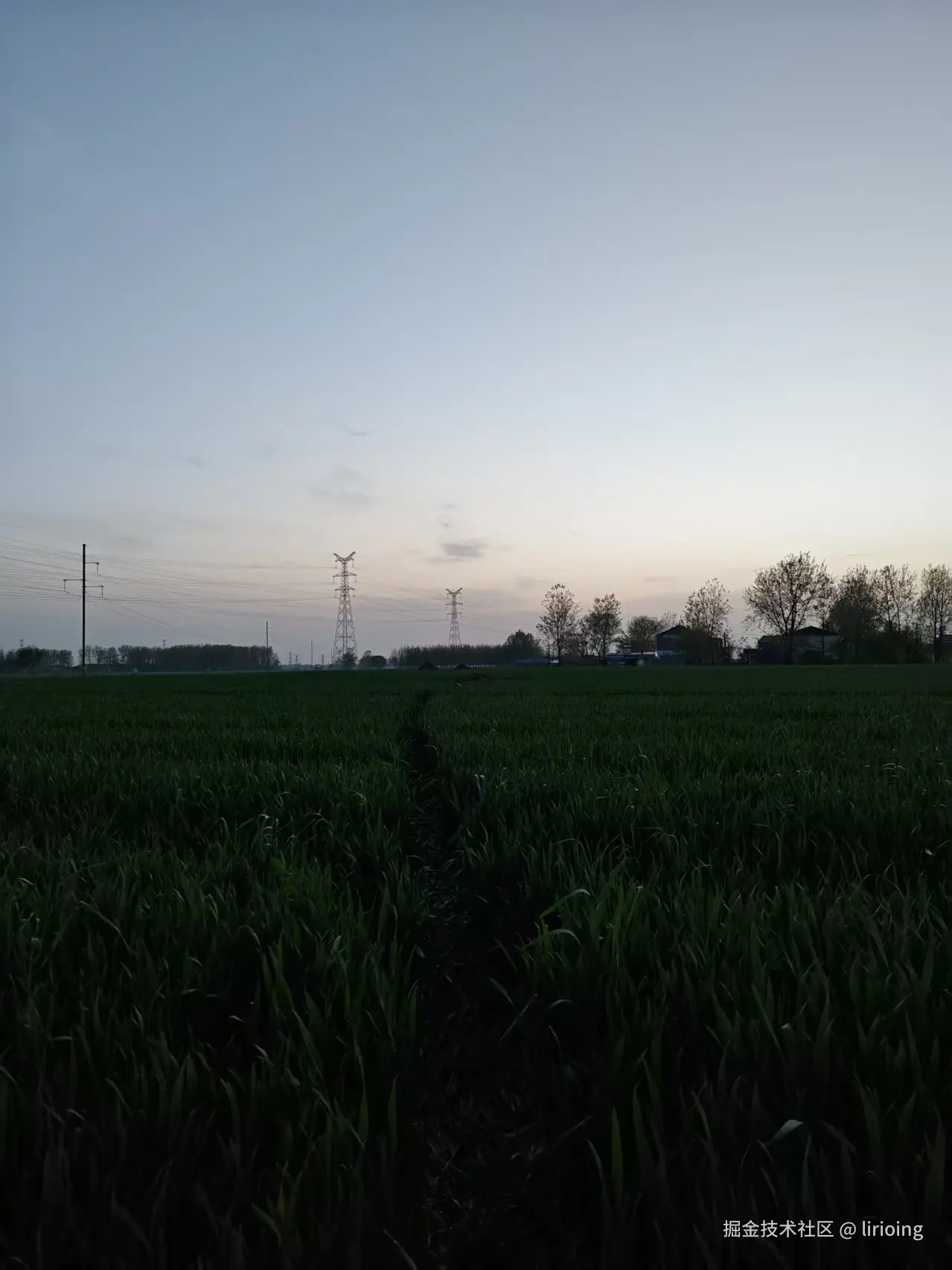 lirioing于2026-04-07 06:04发布的图片