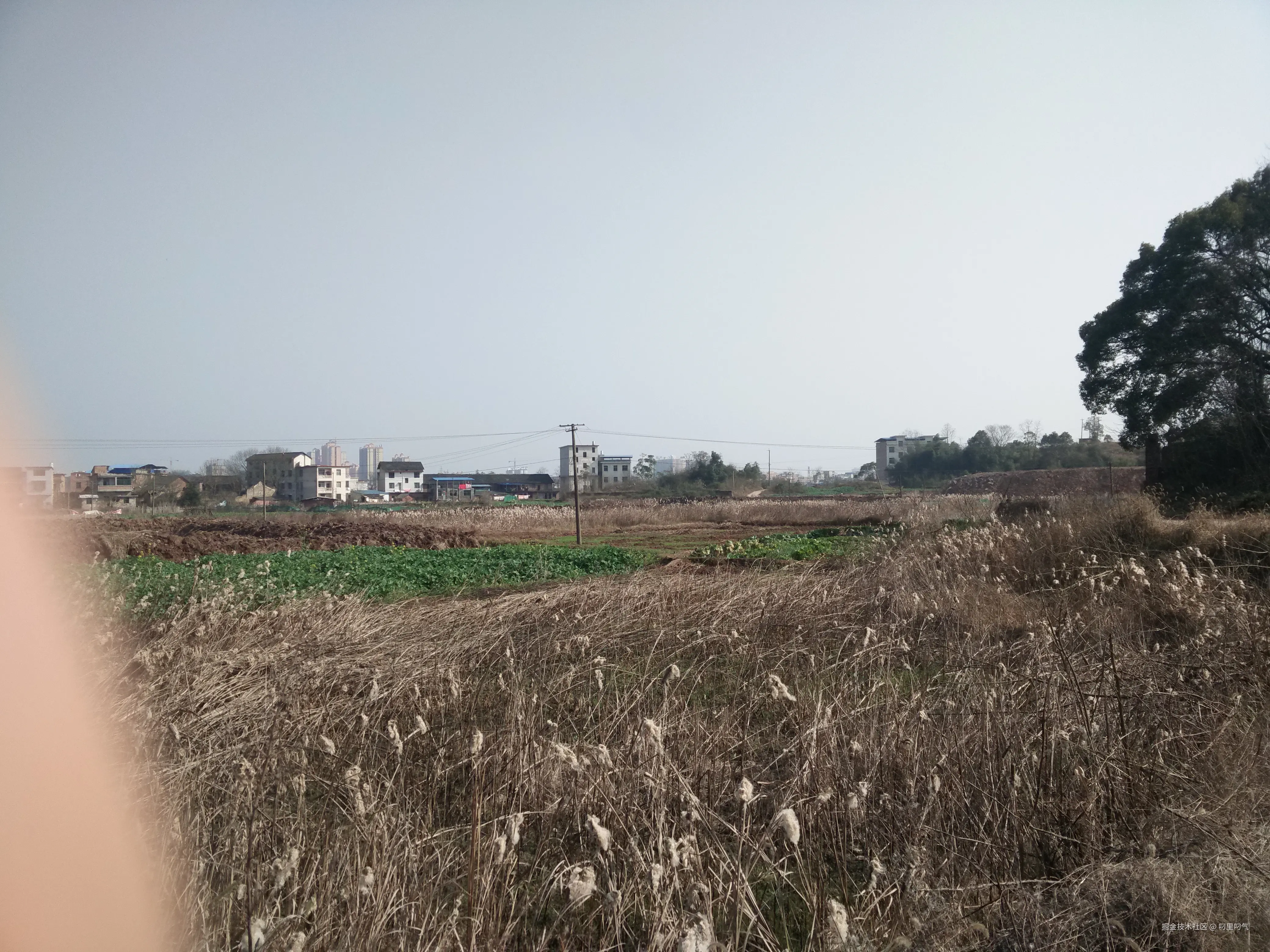 叼里叼气于2024-11-15 14:30发布的图片