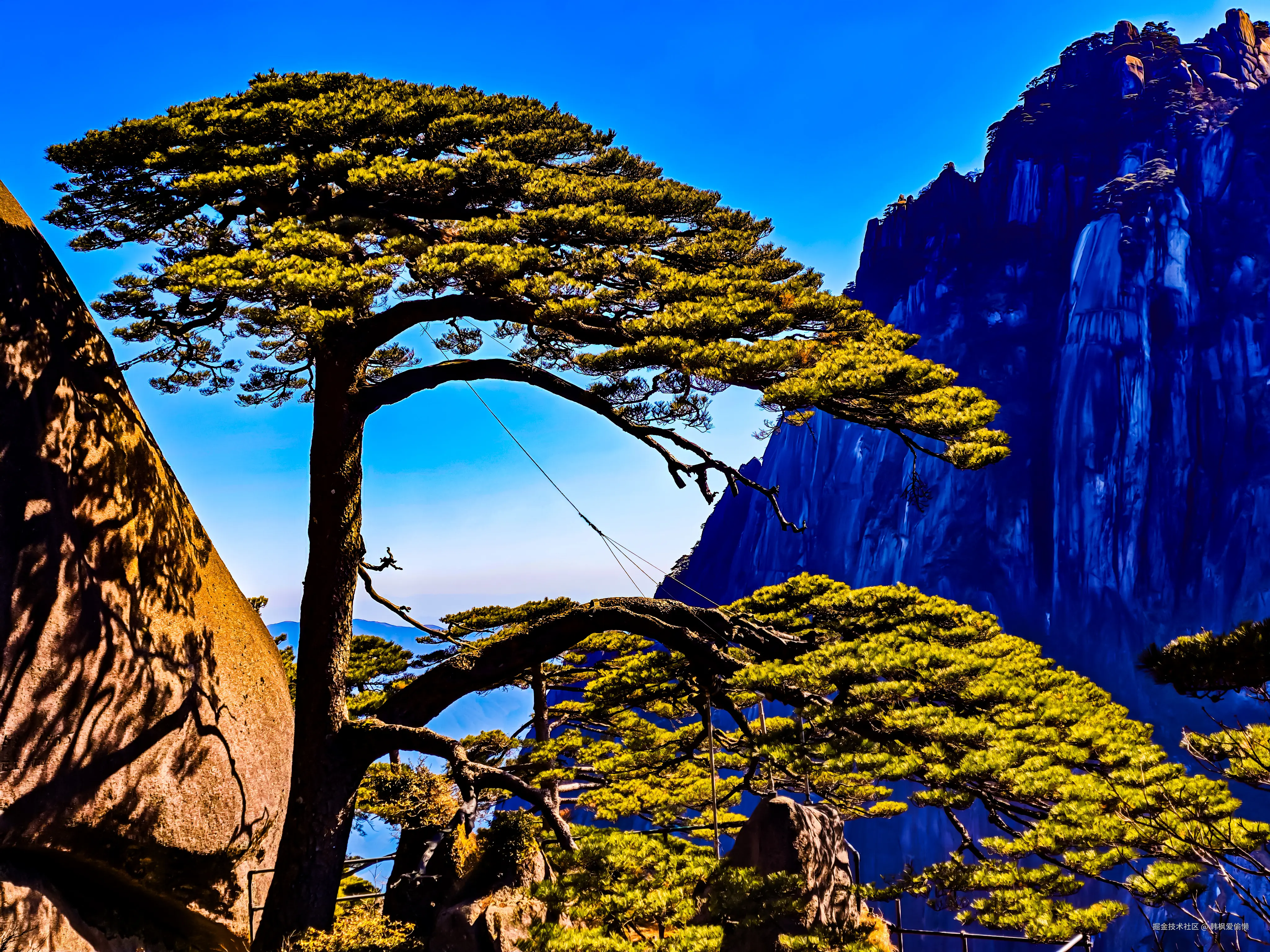 韩枫爱偷懒于2025-04-30 08:45发布的图片