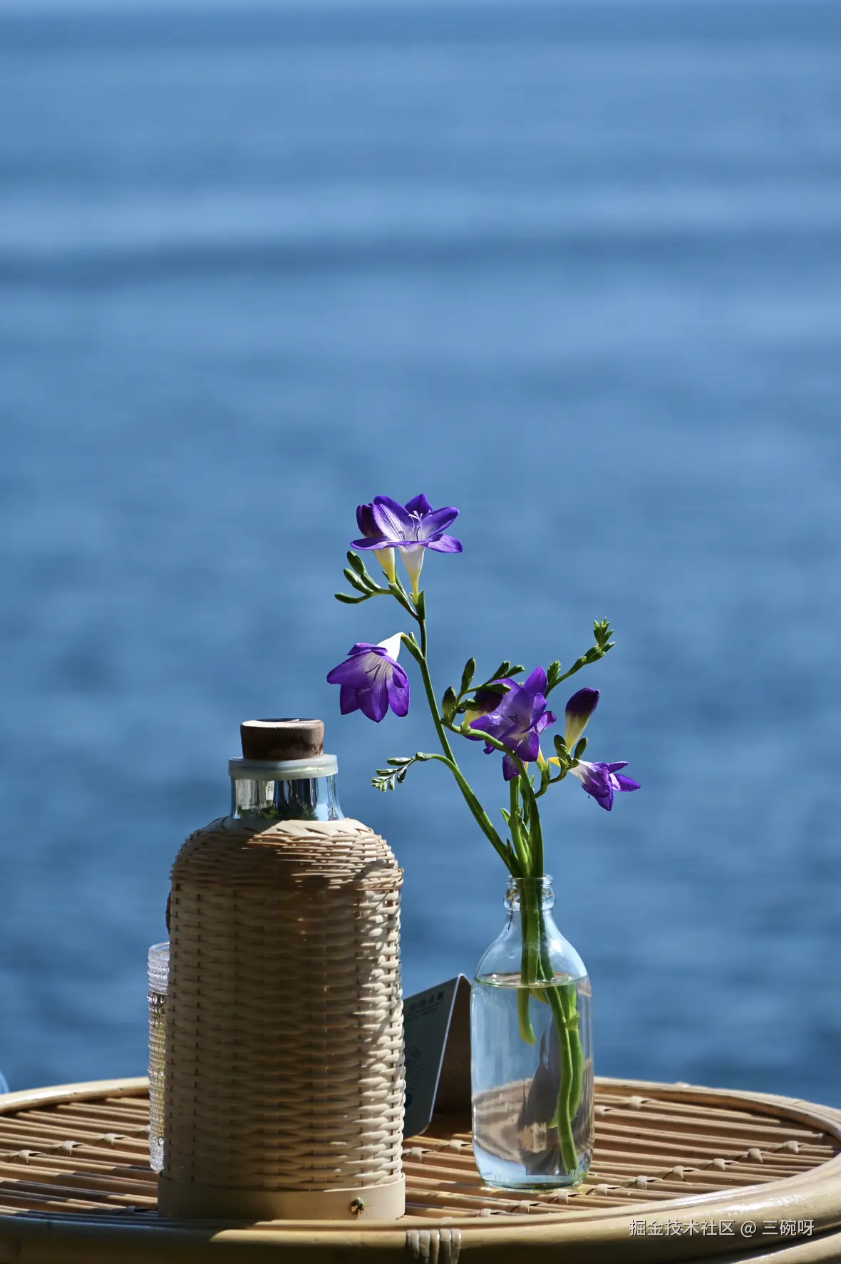 三碗呀于2026-03-12 13:06发布的图片