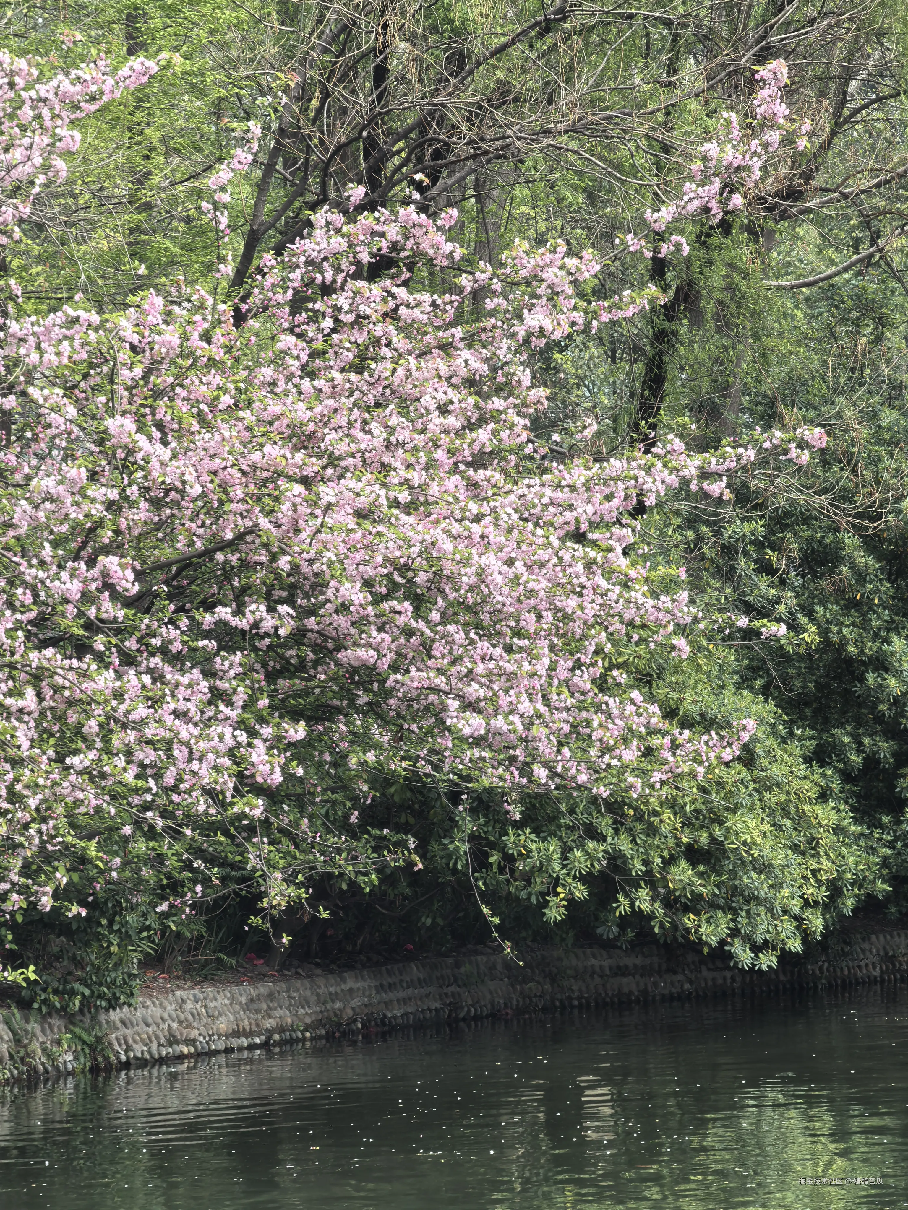 糖醋苦瓜于2026-03-23 16:28发布的图片