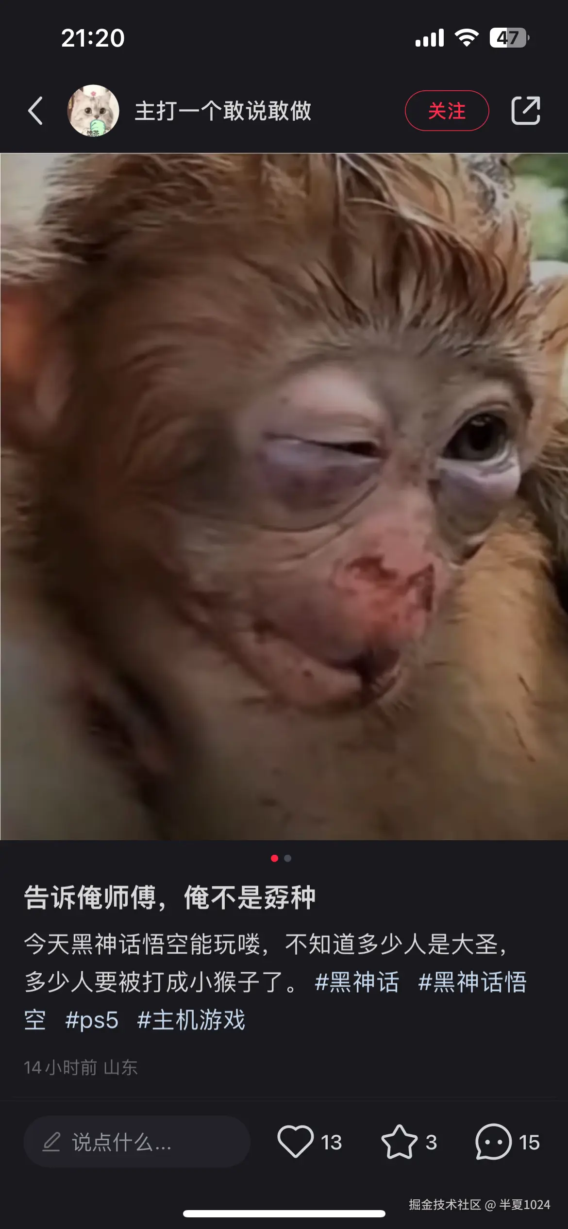 半夏1024于2024-08-21 01:20发布的图片