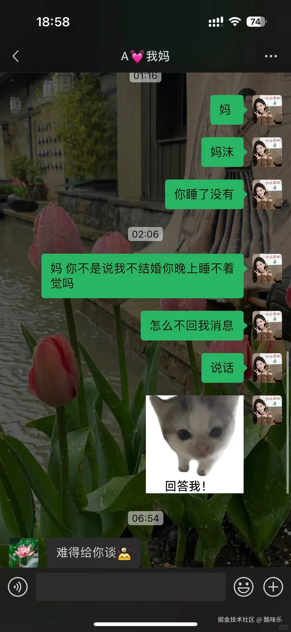 酷味乐于2026-03-30 15:06发布的图片