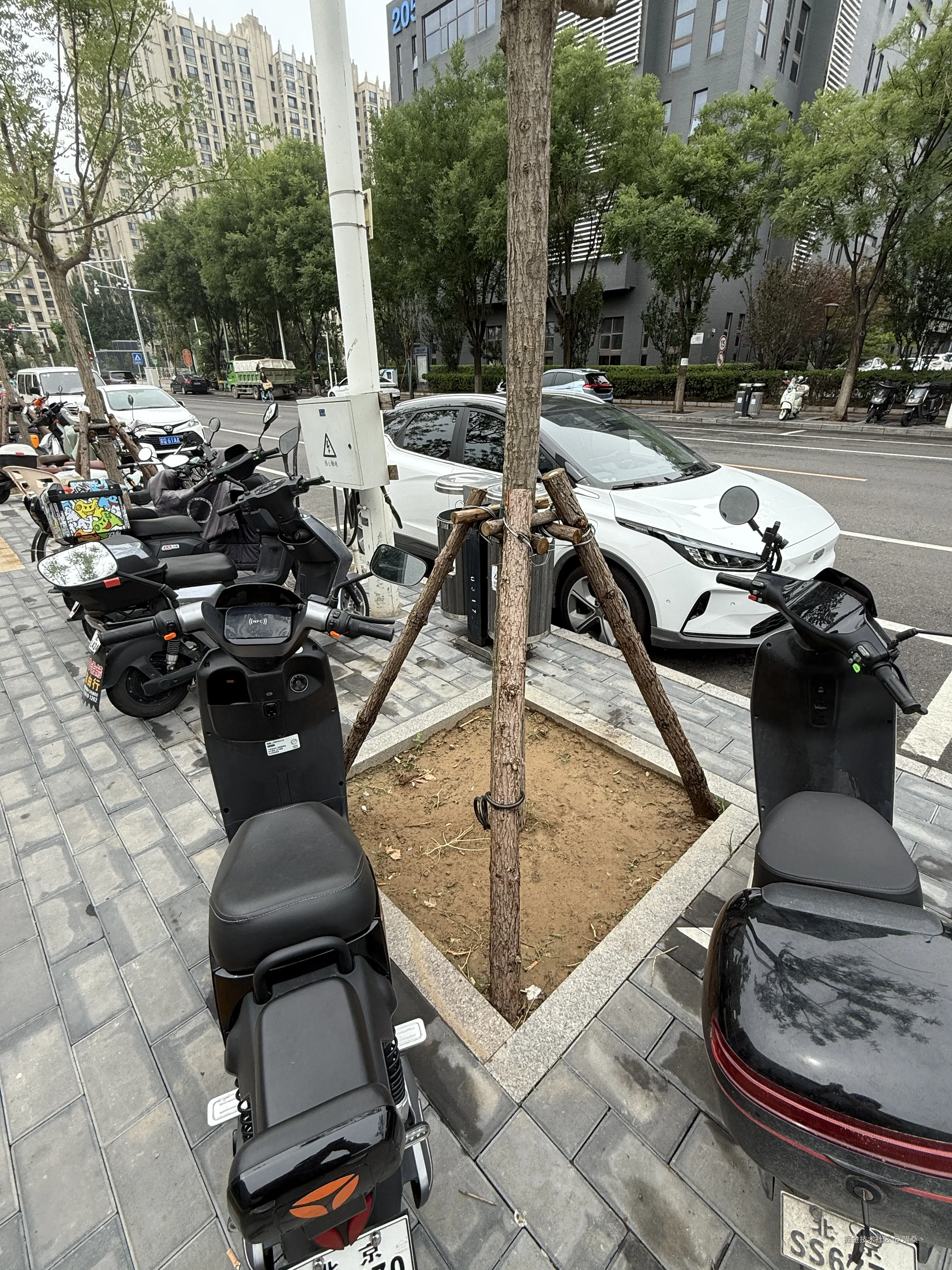 喵桑丶于2025-06-19 06:14发布的图片