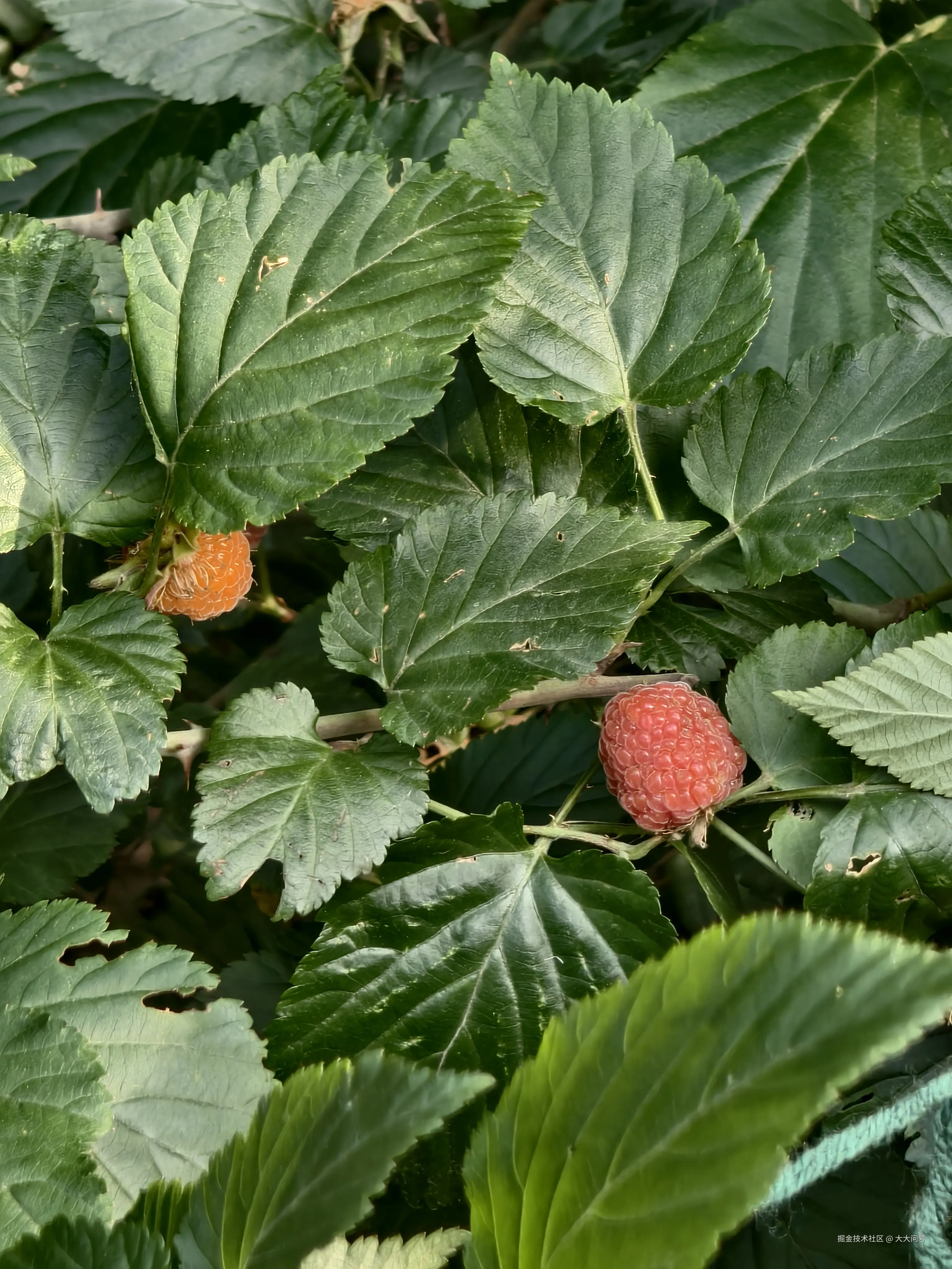 大大问号于2025-05-06 09:01发布的图片