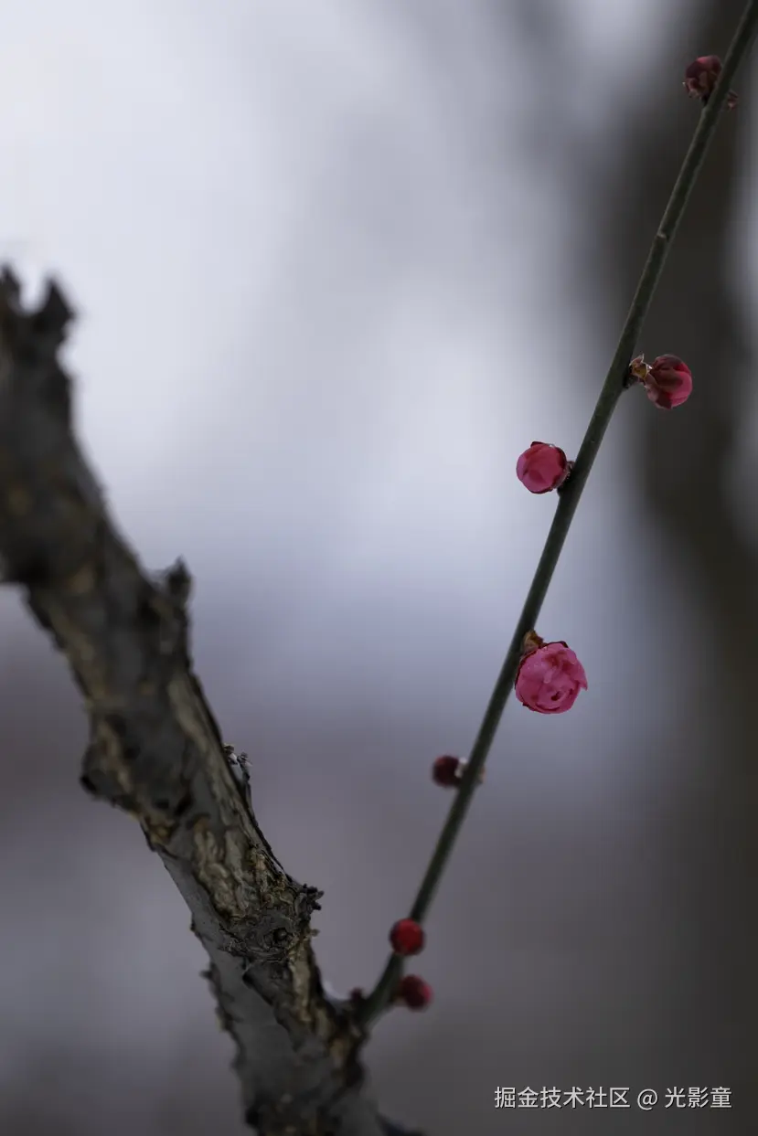 光影童于2026-01-21 11:03发布的图片