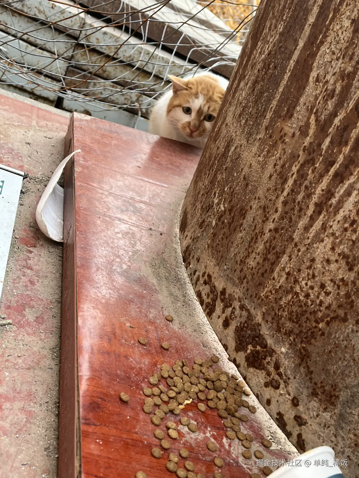 单纯_稀饭于2025-12-02 09:18发布的图片