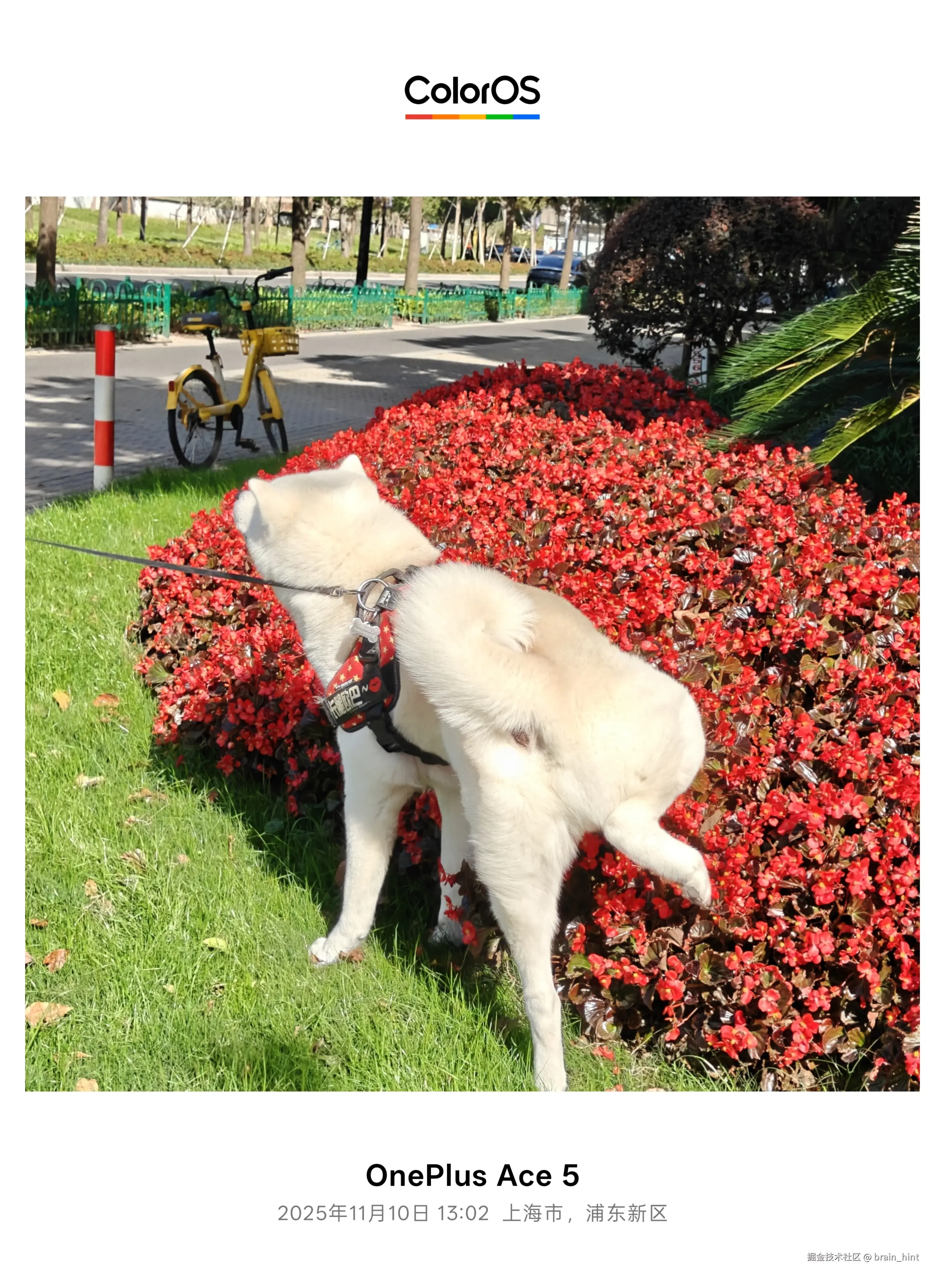 brain_hint于2025-11-10 13:19发布的图片