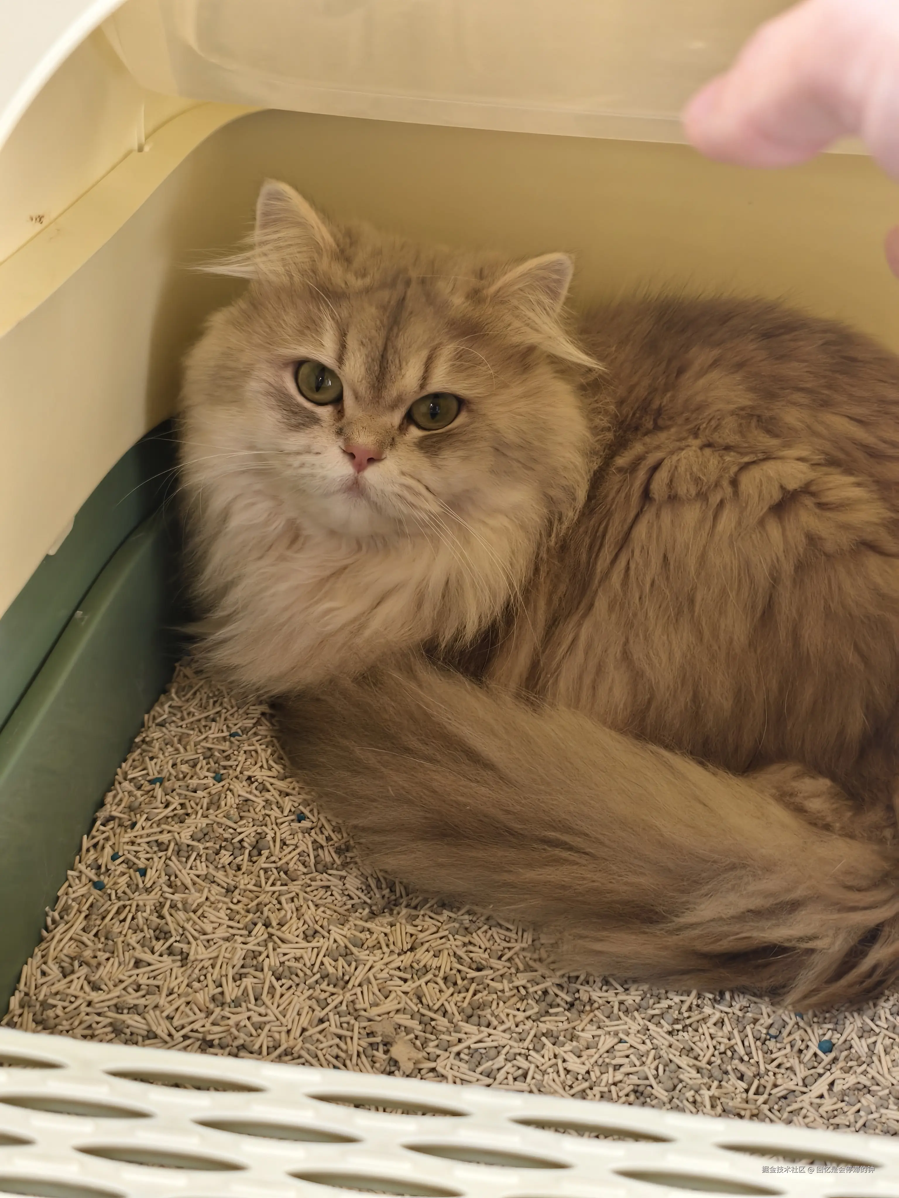 回忆是会停滞的钟于2025-11-24 09:21发布的图片