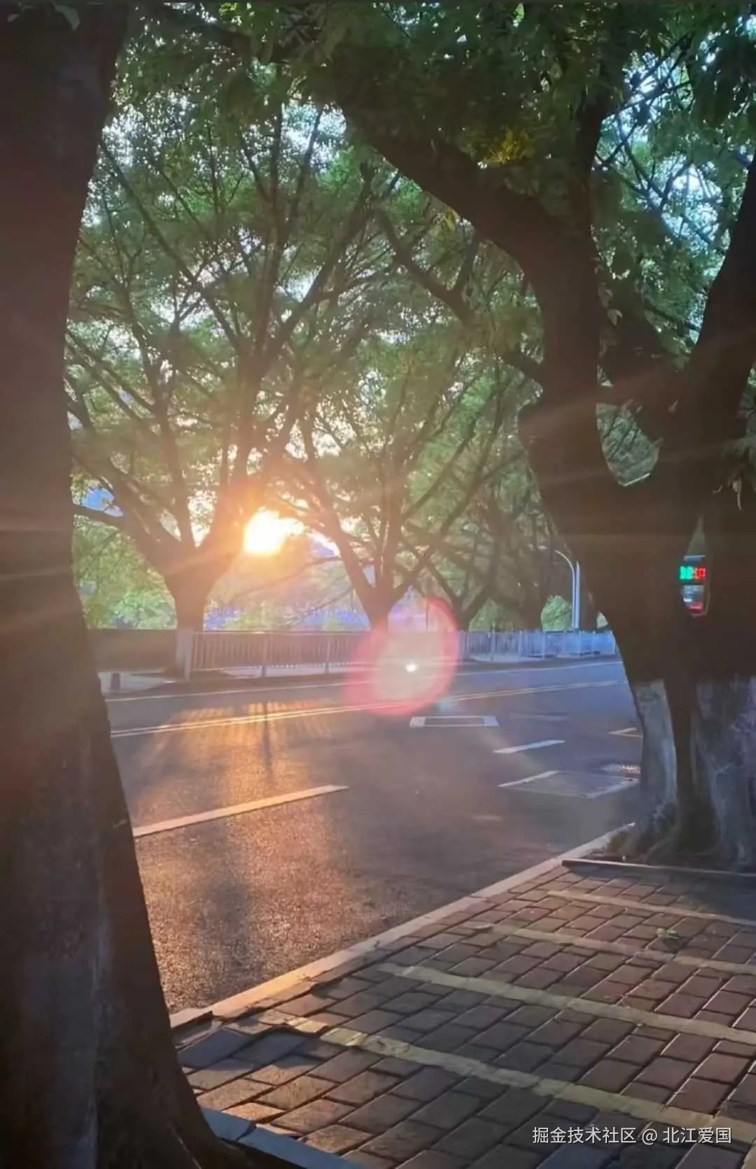 北江爱国于2025-08-20 10:53发布的图片