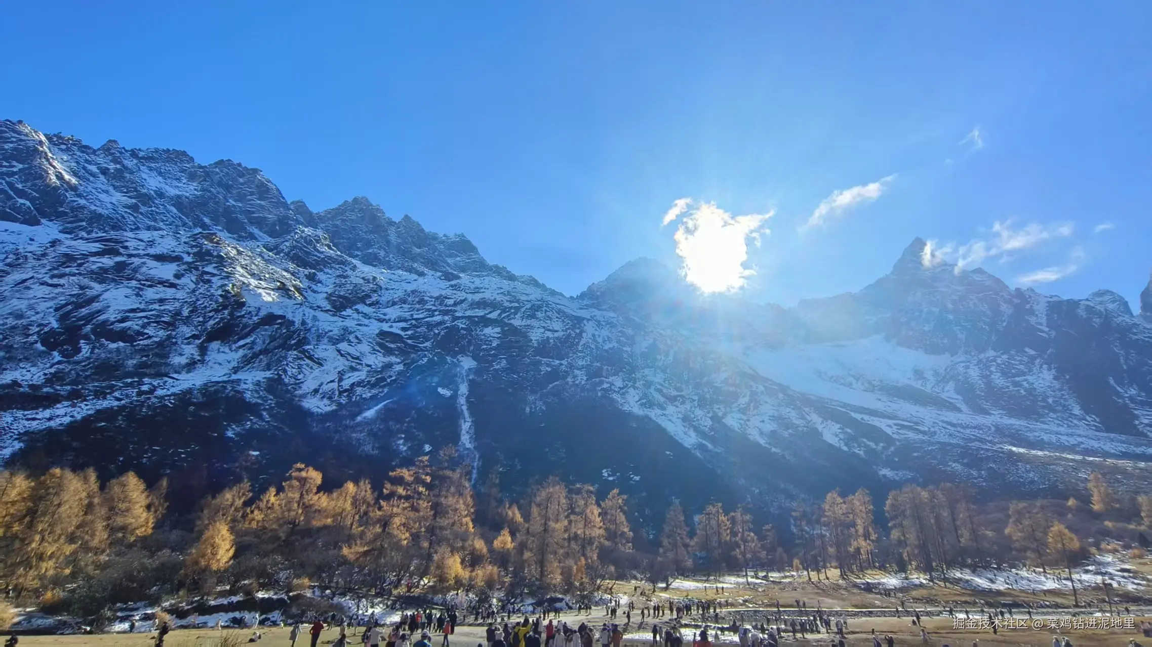 菜鸡钻进泥地里于2025-11-10 15:46发布的图片