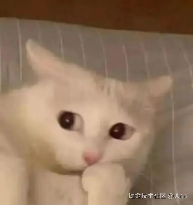 Ann于2025-03-11 05:50发布的图片