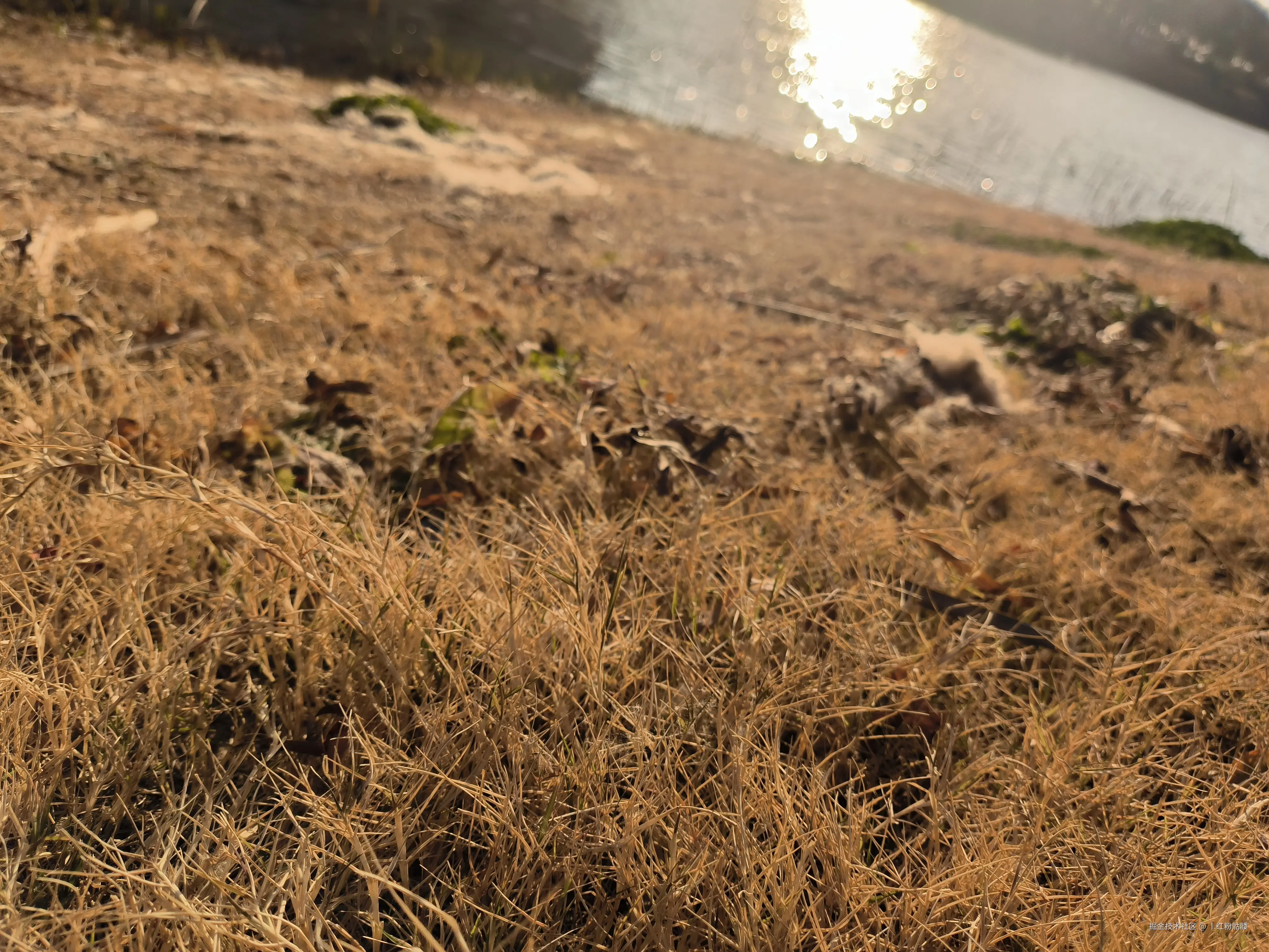 丨红粉骷髅于2025-01-15 15:27发布的图片