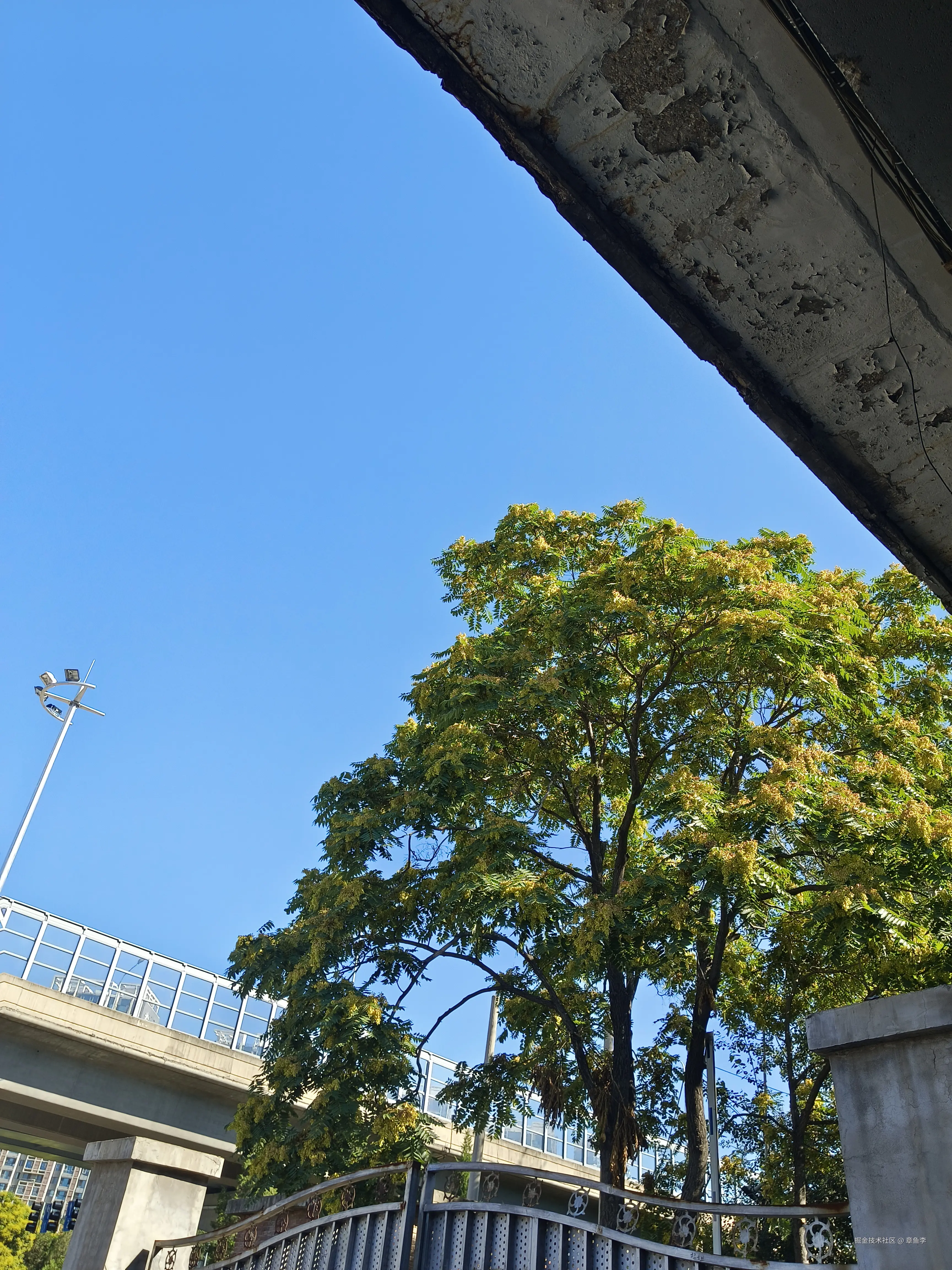 章鱼李于2025-07-17 09:19发布的图片