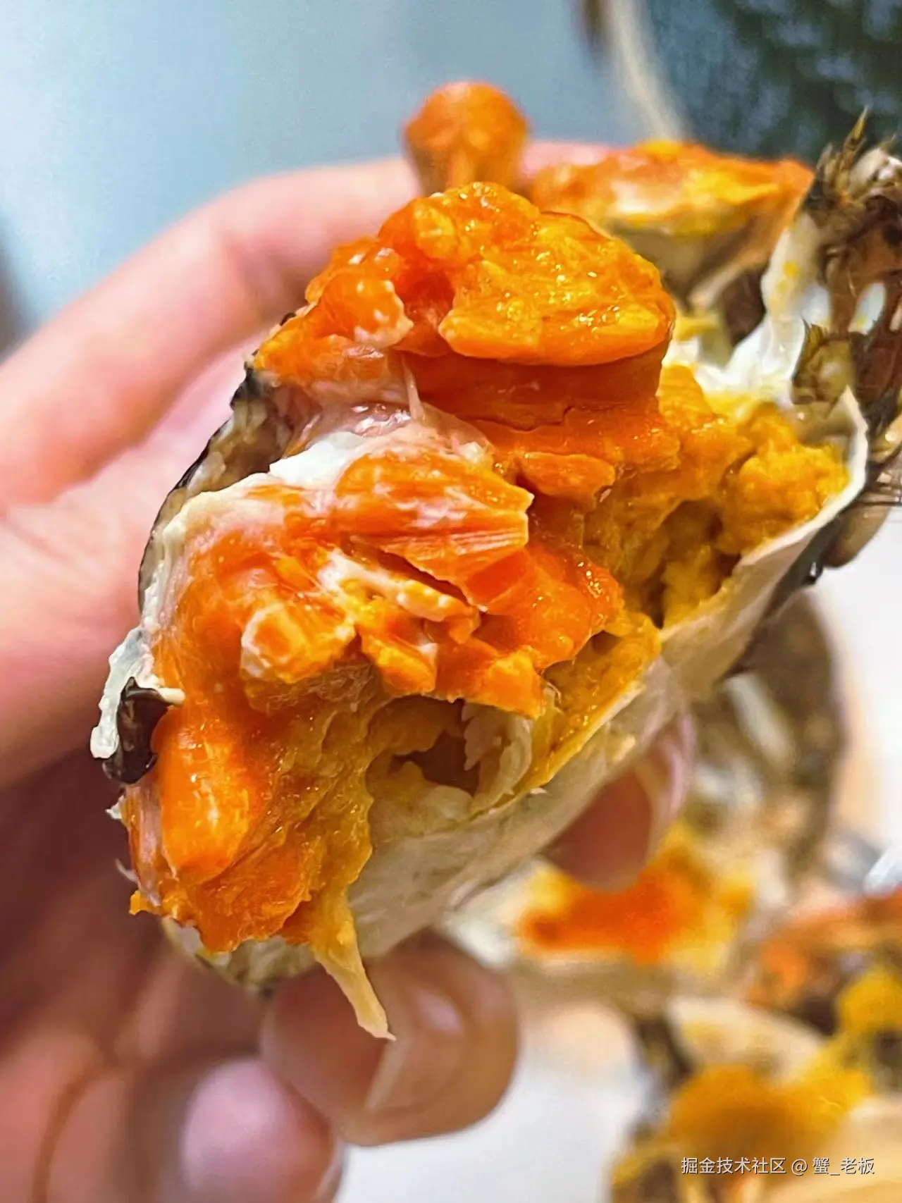 蟹_老板于2024-10-14 08:42发布的图片