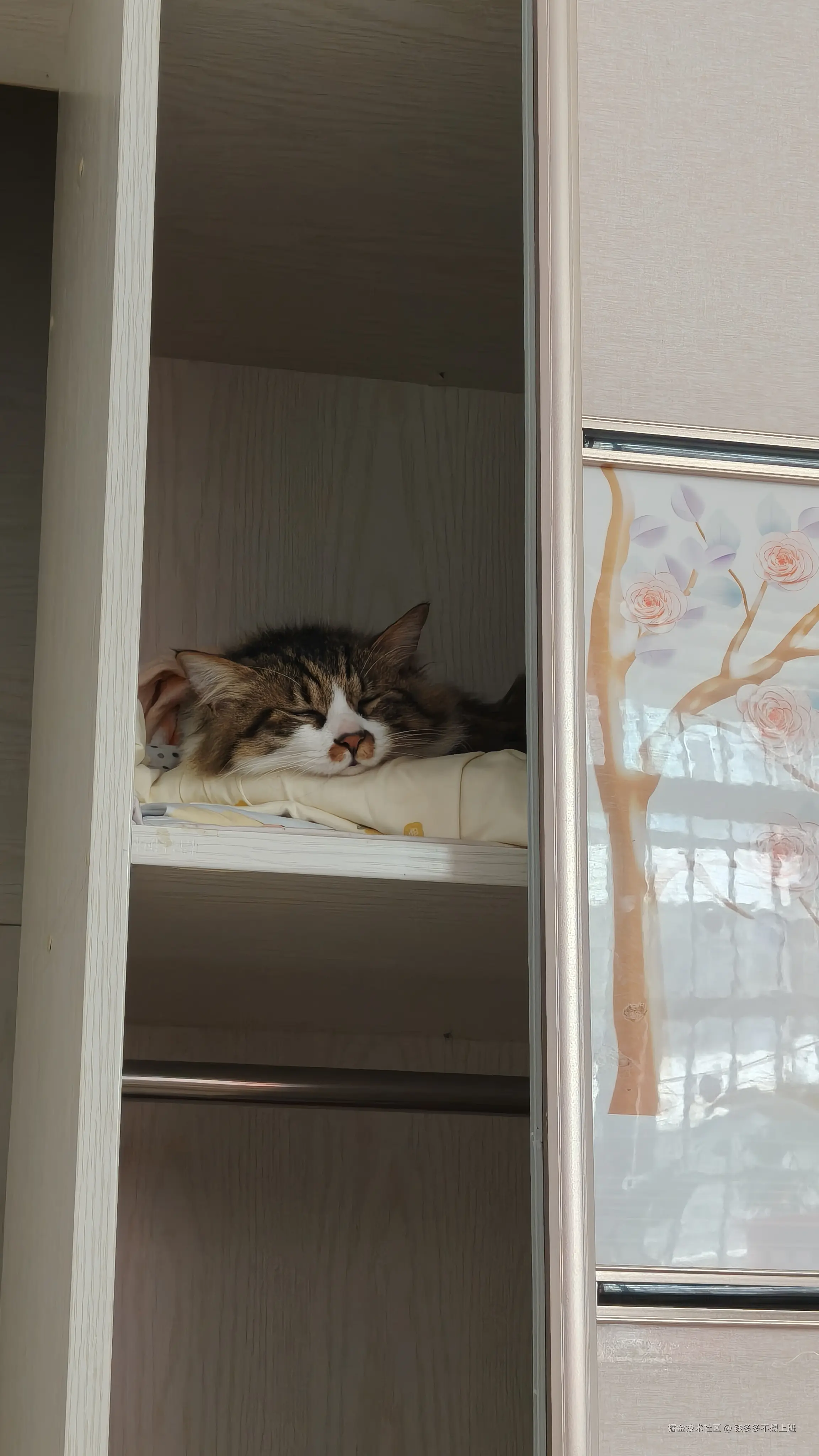 钱多多不想上班于2026-04-07 10:47发布的图片