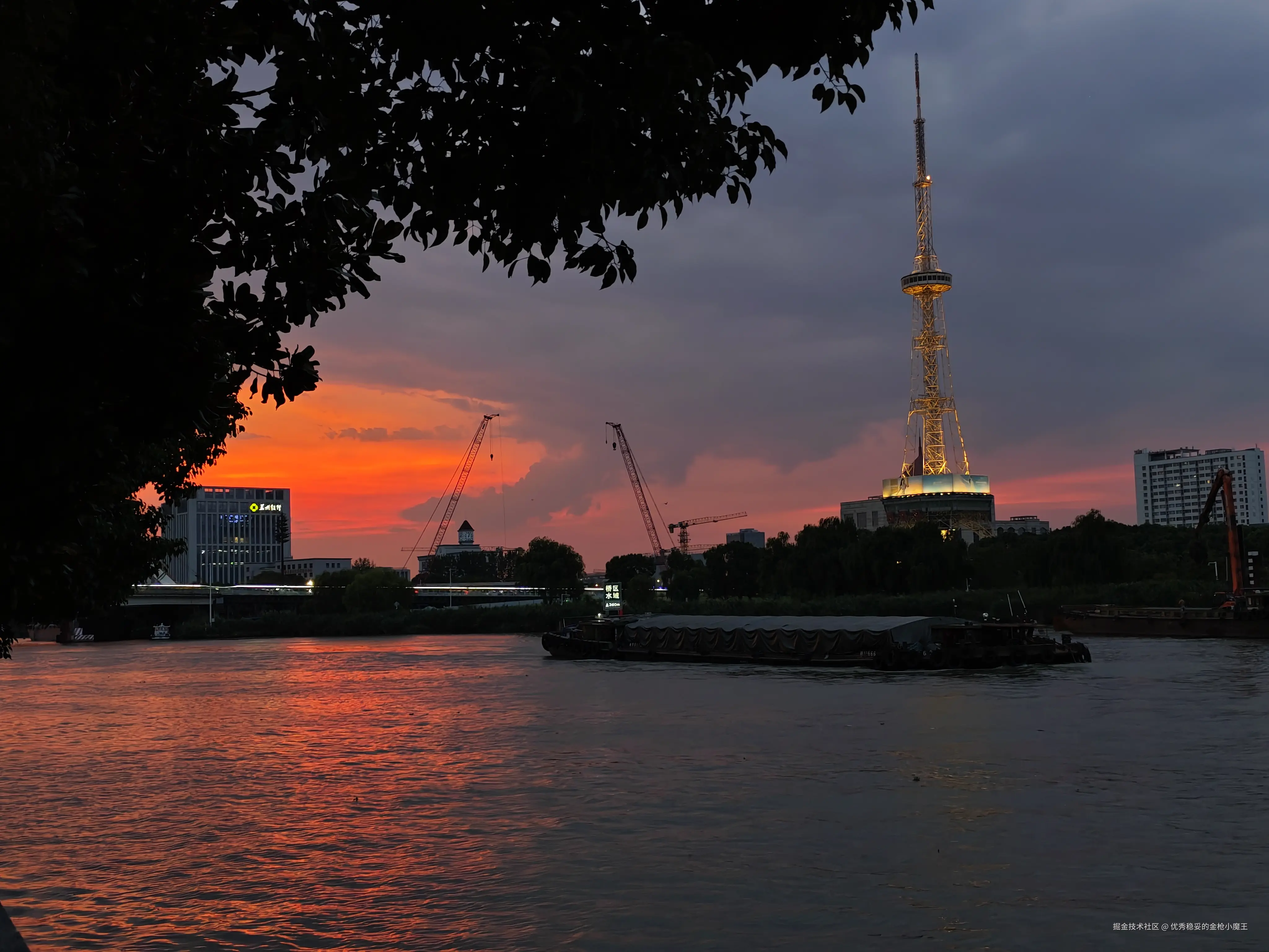 优秀稳妥的金枪小魔王于2025-08-21 11:18发布的图片