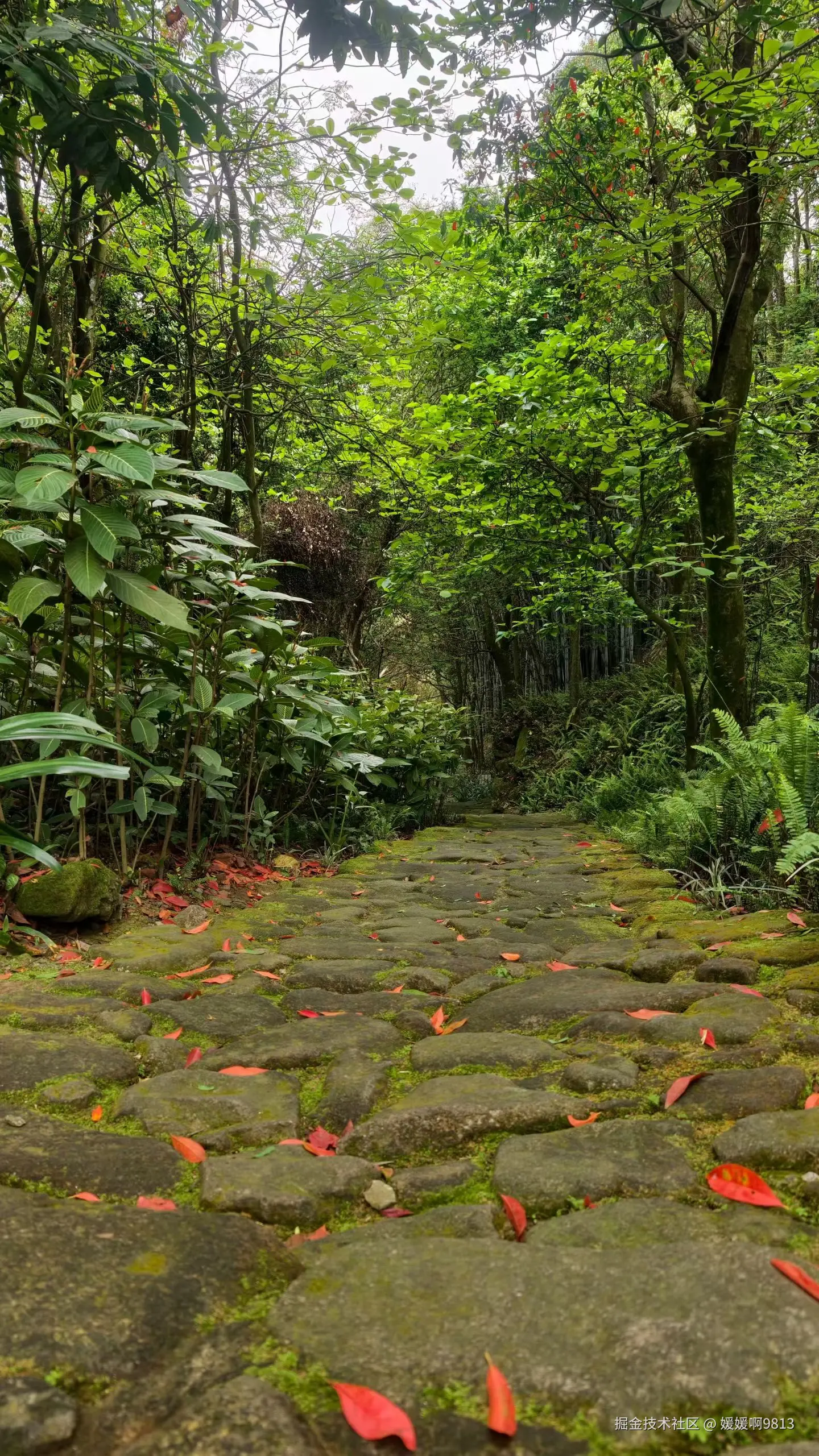 媛媛啊9813于2026-03-29 15:21发布的图片