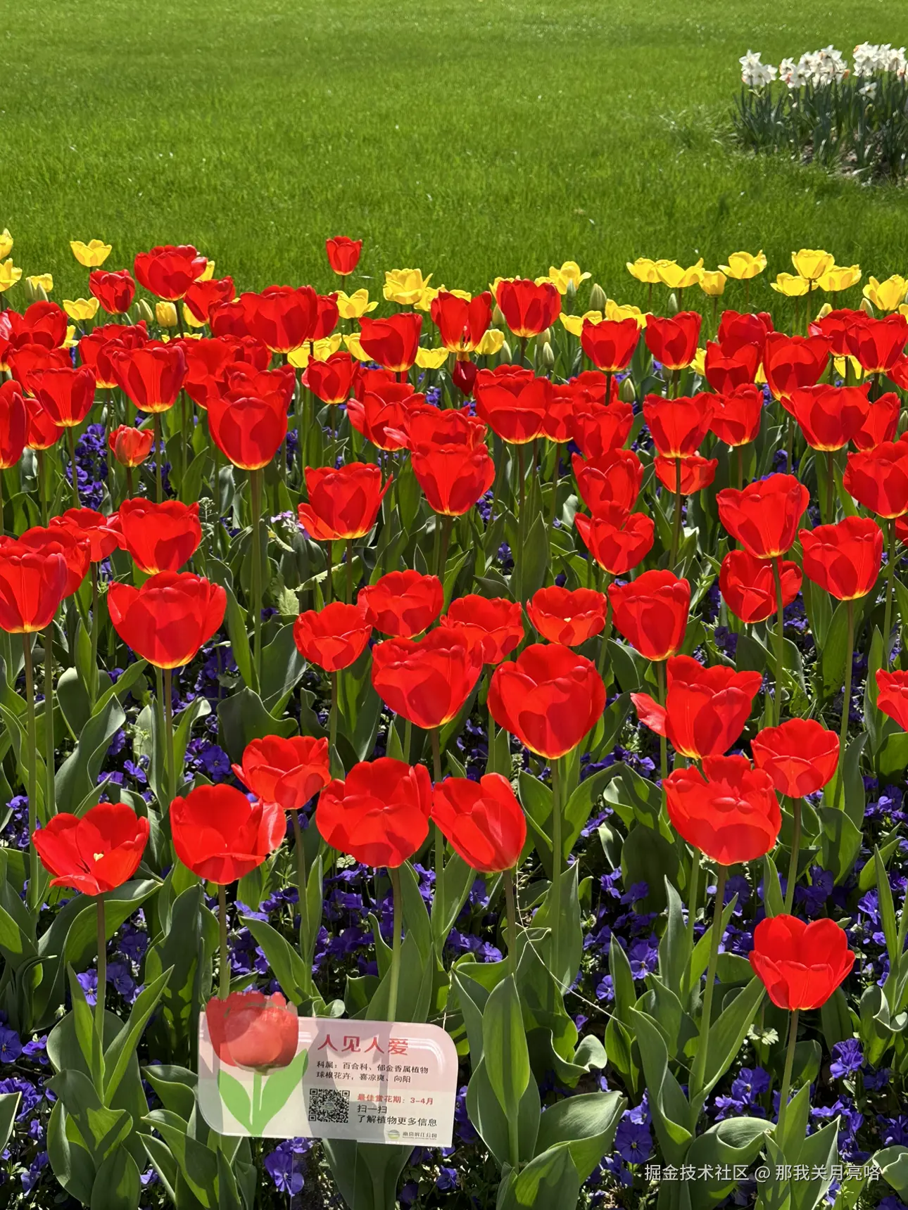 那我关月亮咯于2025-03-24 09:35发布的图片