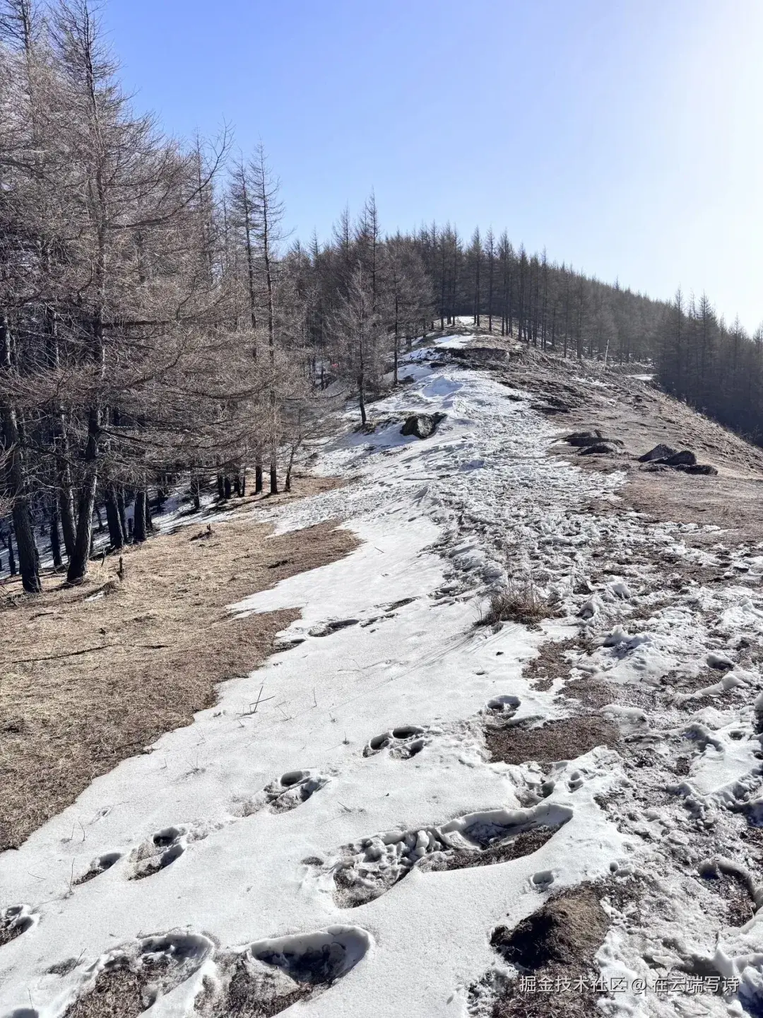 在云端写诗于2025-12-01 03:16发布的图片